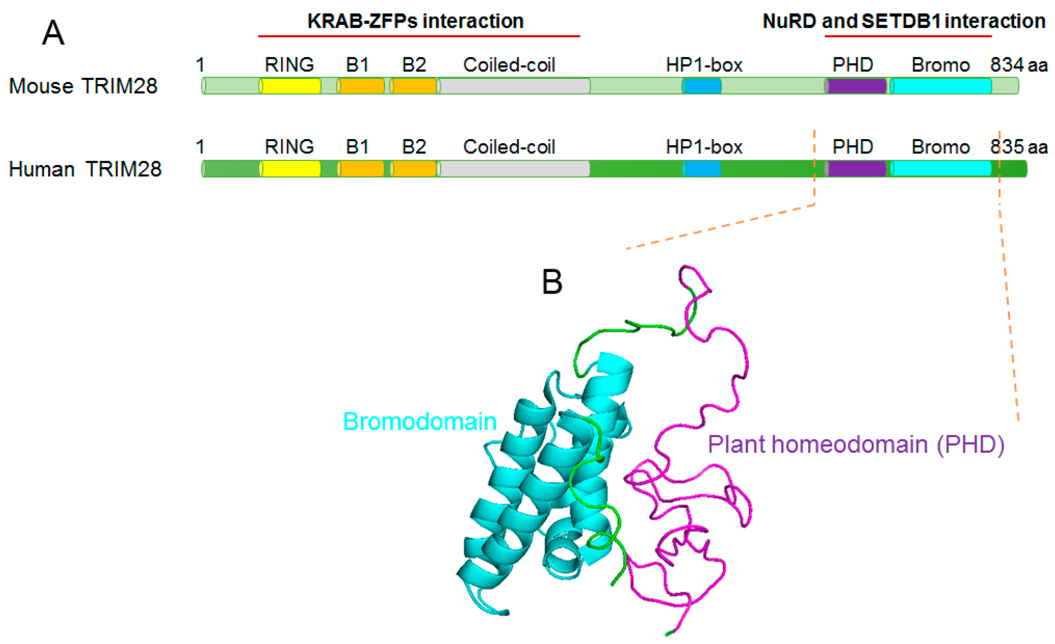 Ijms 18 01898 g007 Ijms 18 01898 g007