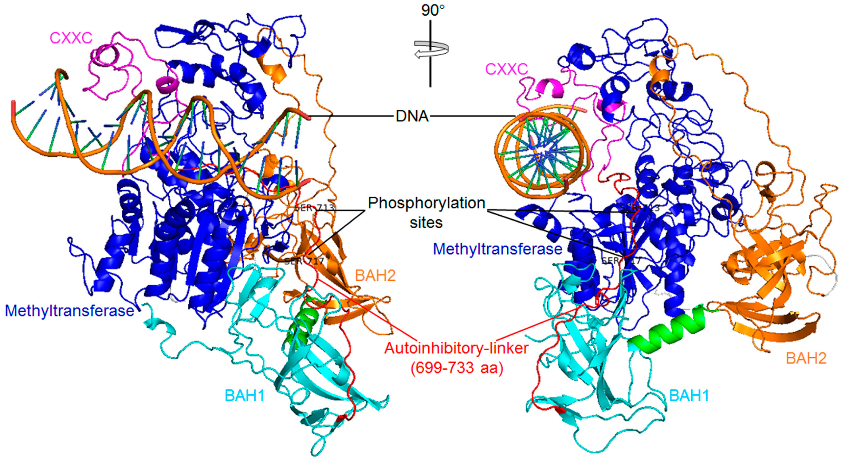 Ijms 18 01898 g010 Ijms 18 01898 g010