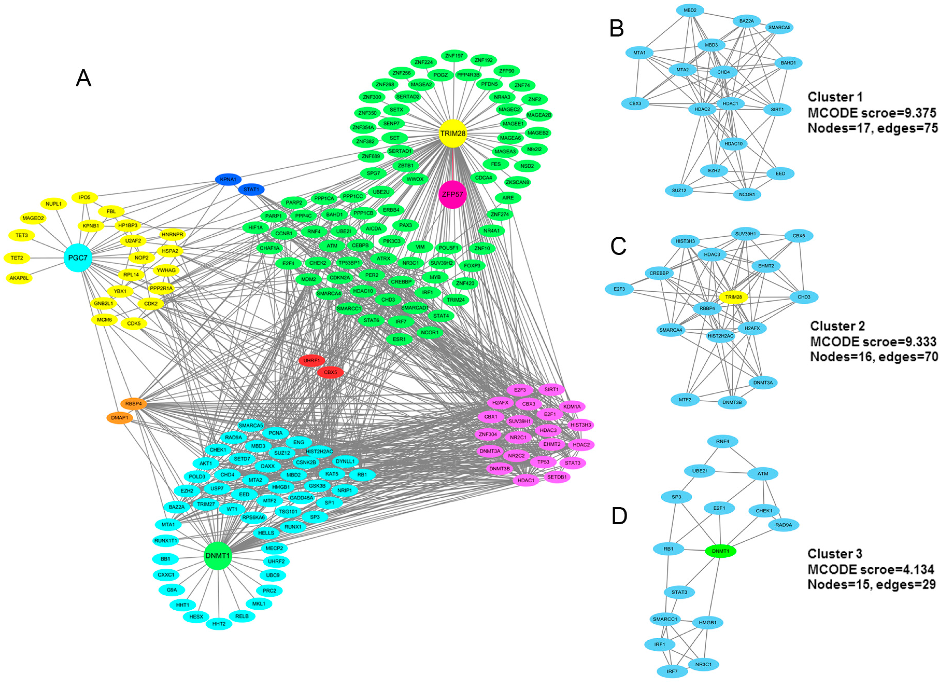 Ijms 18 01898 g011 Ijms 18 01898 g011