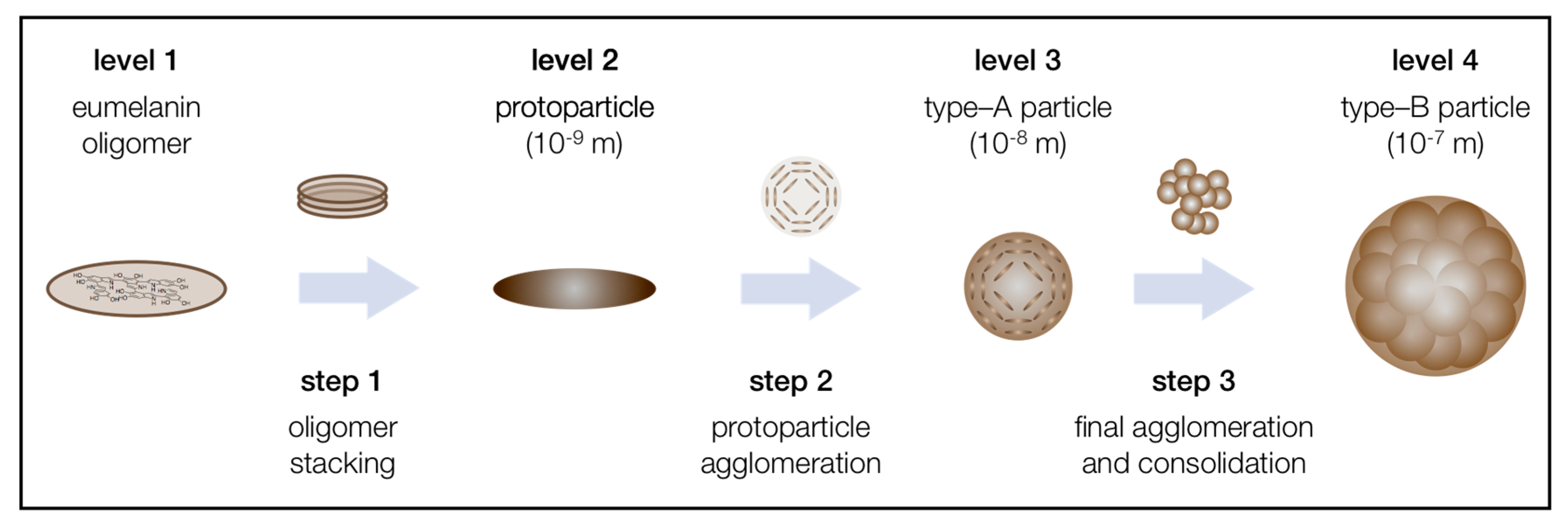 Ijms 18 01901 g002 Ijms 18 01901 g002