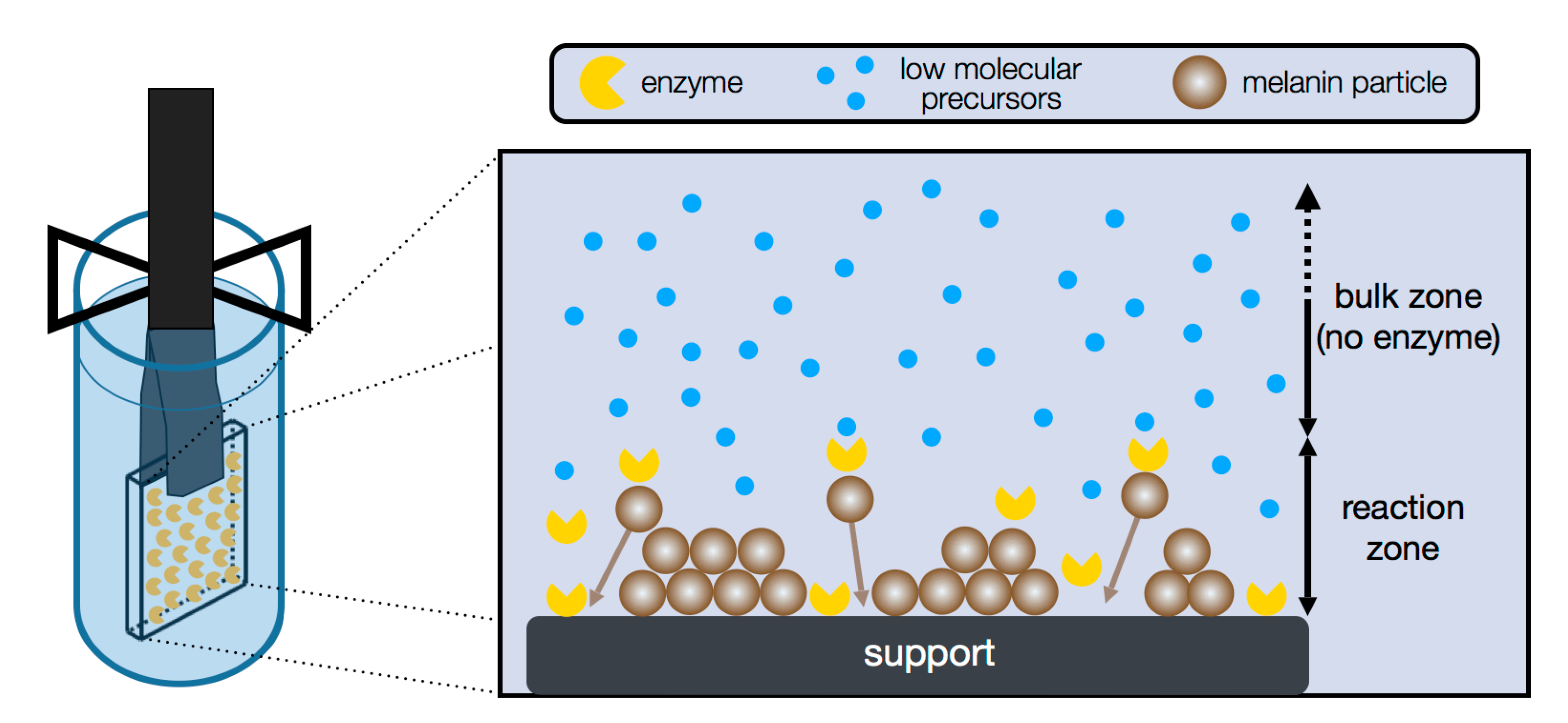 Ijms 18 01901 g005 Ijms 18 01901 g005