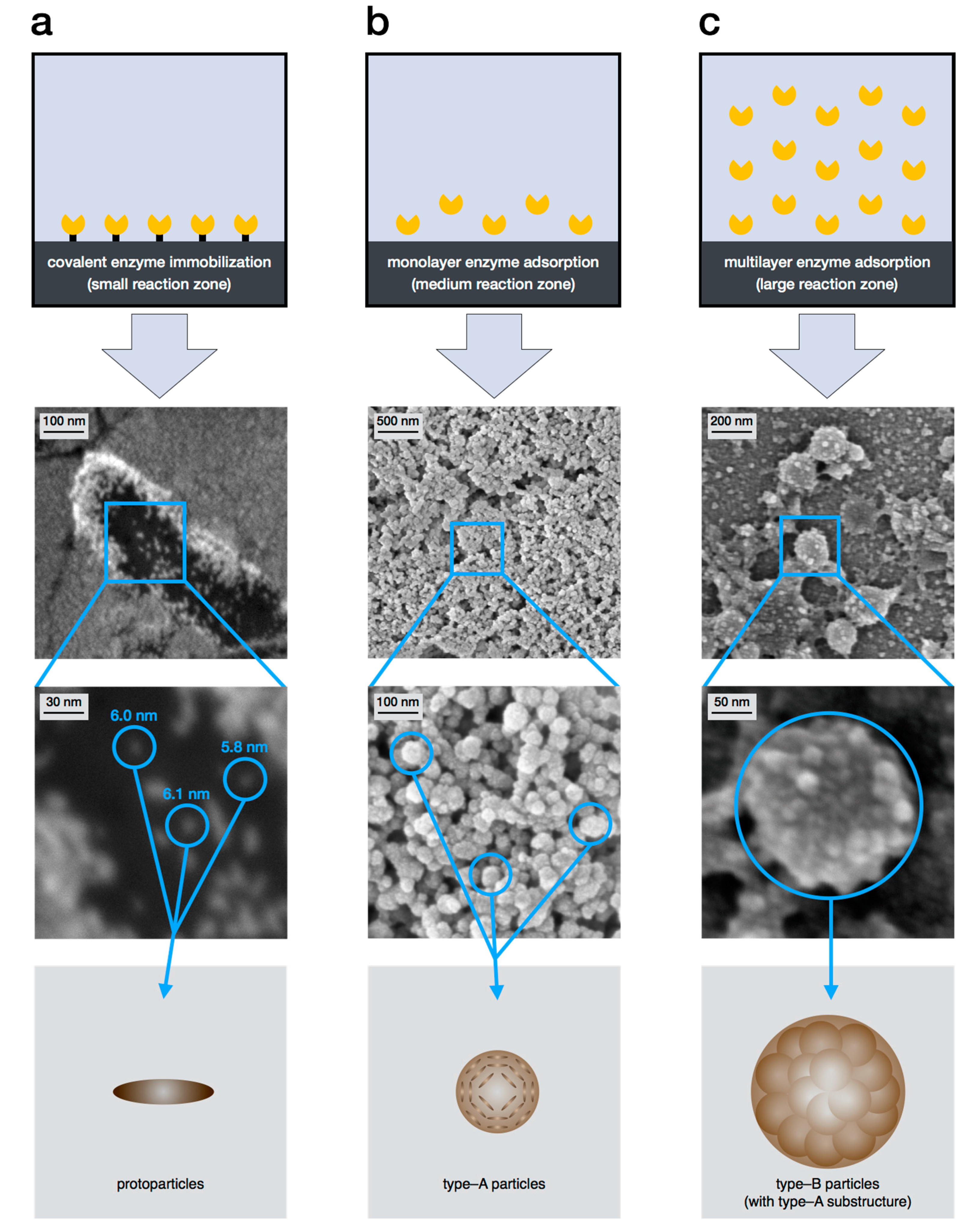 Ijms 18 01901 g006 Ijms 18 01901 g006