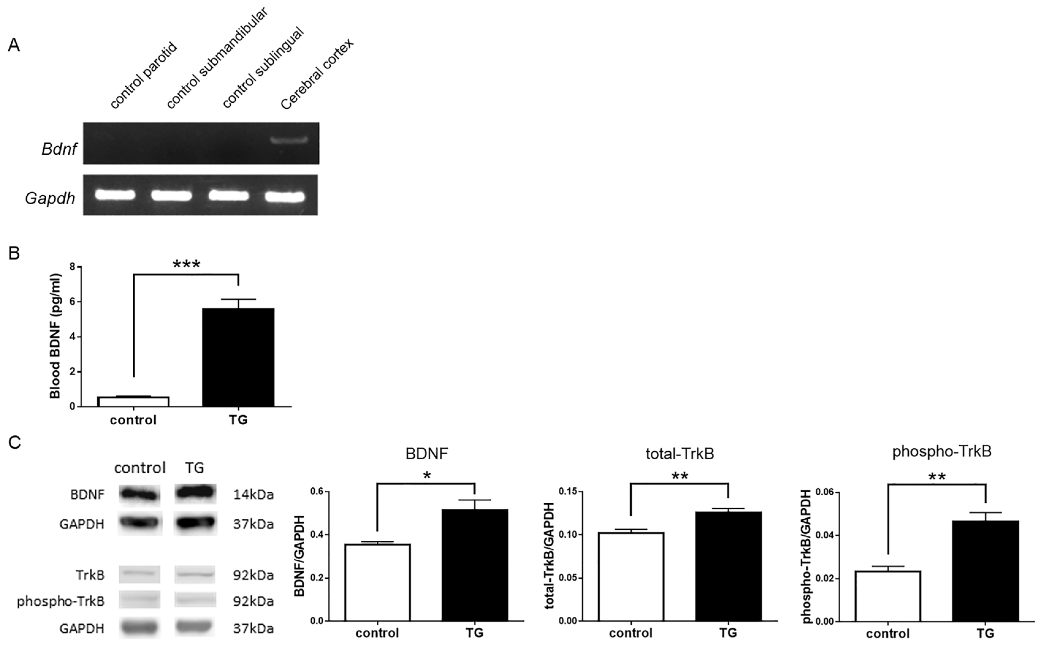 Ijms 18 01902 g003 Ijms 18 01902 g003