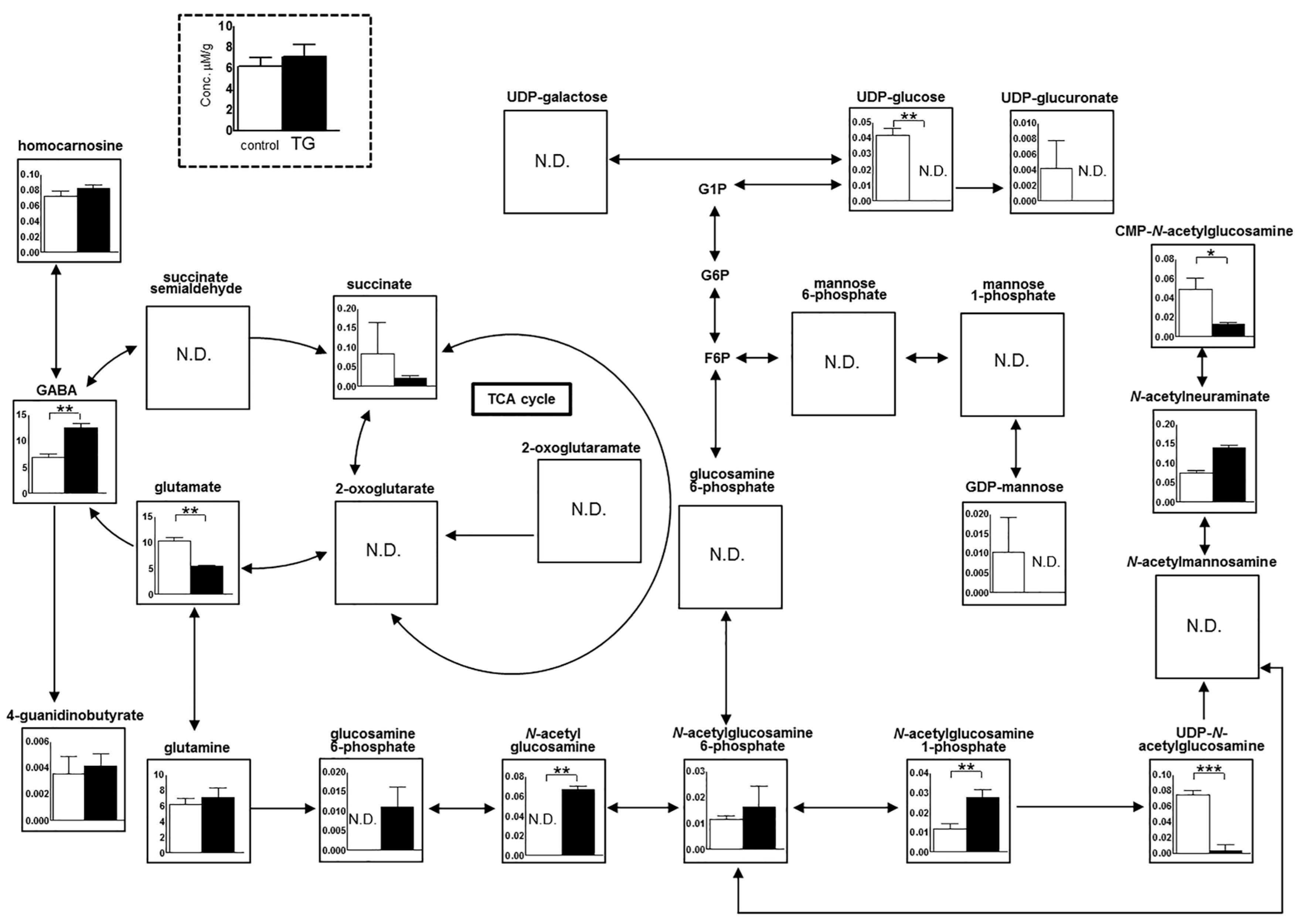 Ijms 18 01902 g006 Ijms 18 01902 g006