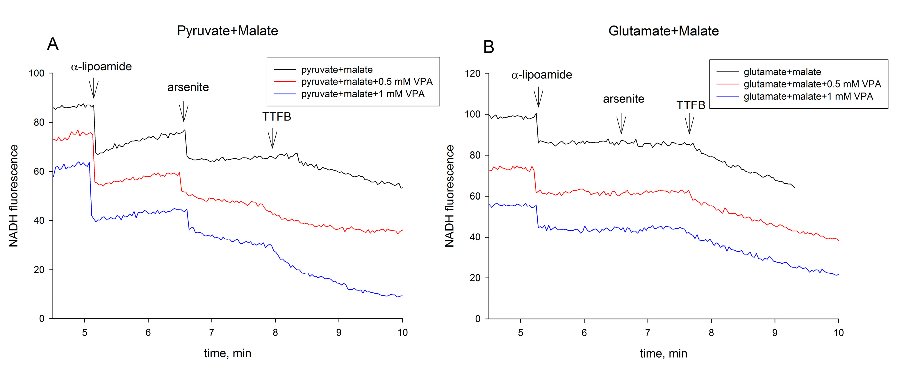Ijms 18 01912 g005 Ijms 18 01912 g005
