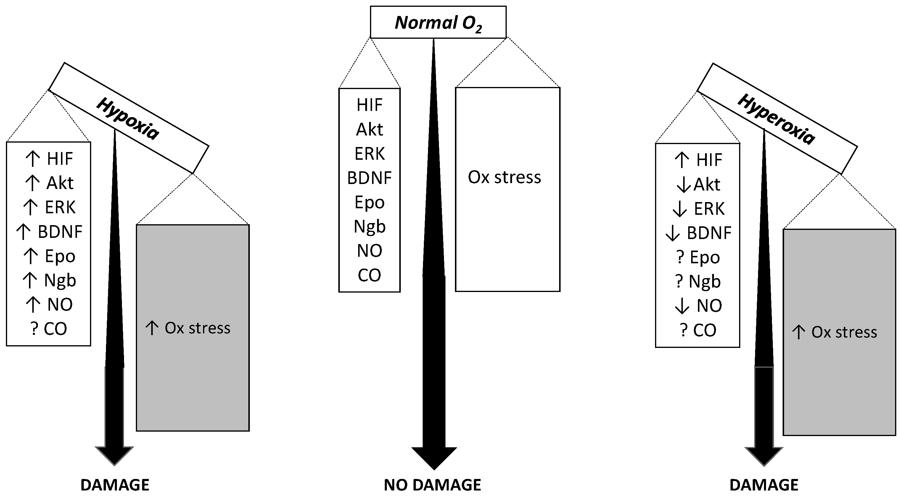 Ijms 18 01914 g002 Ijms 18 01914 g002