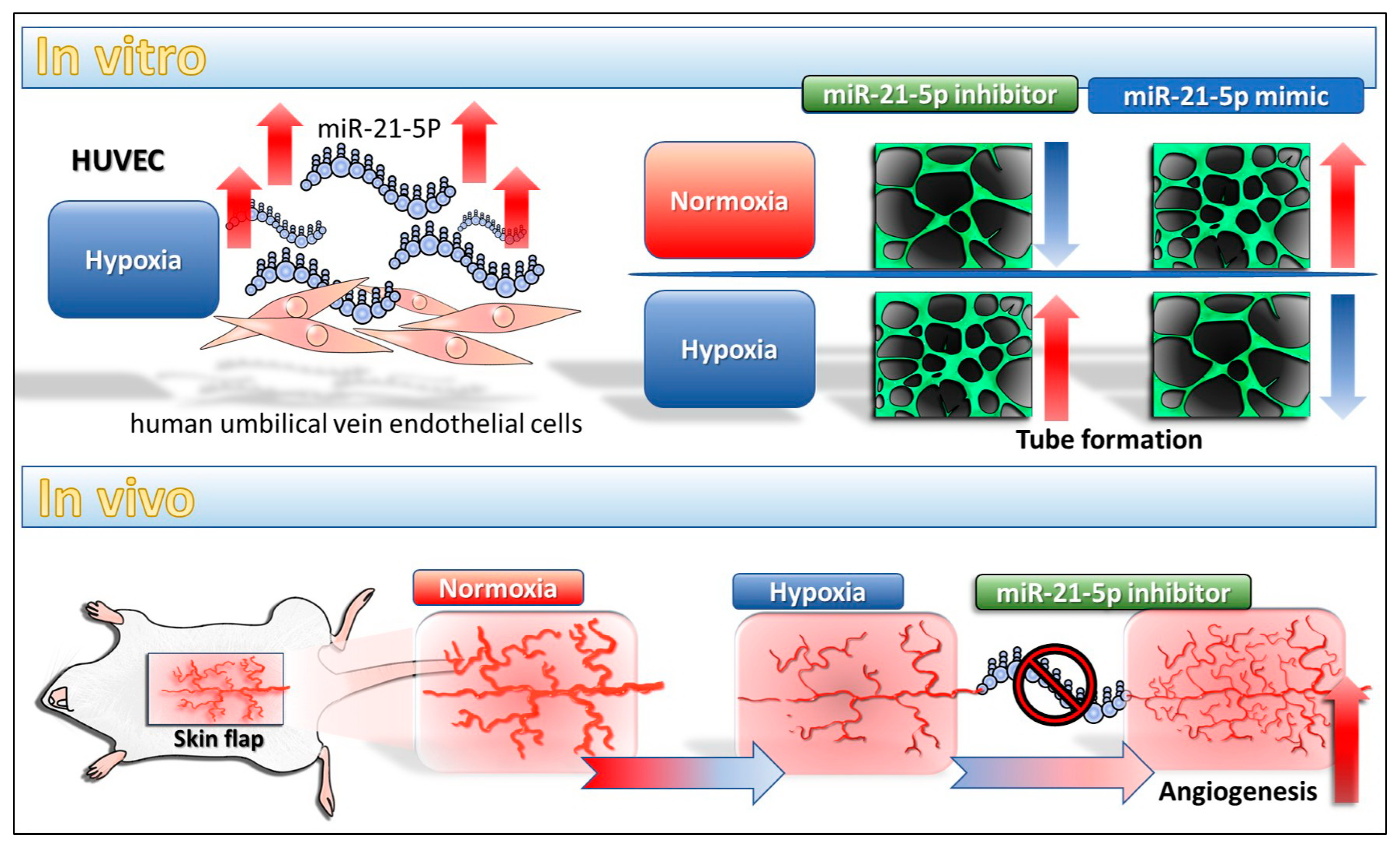 Ijms 18 01917 g006 550