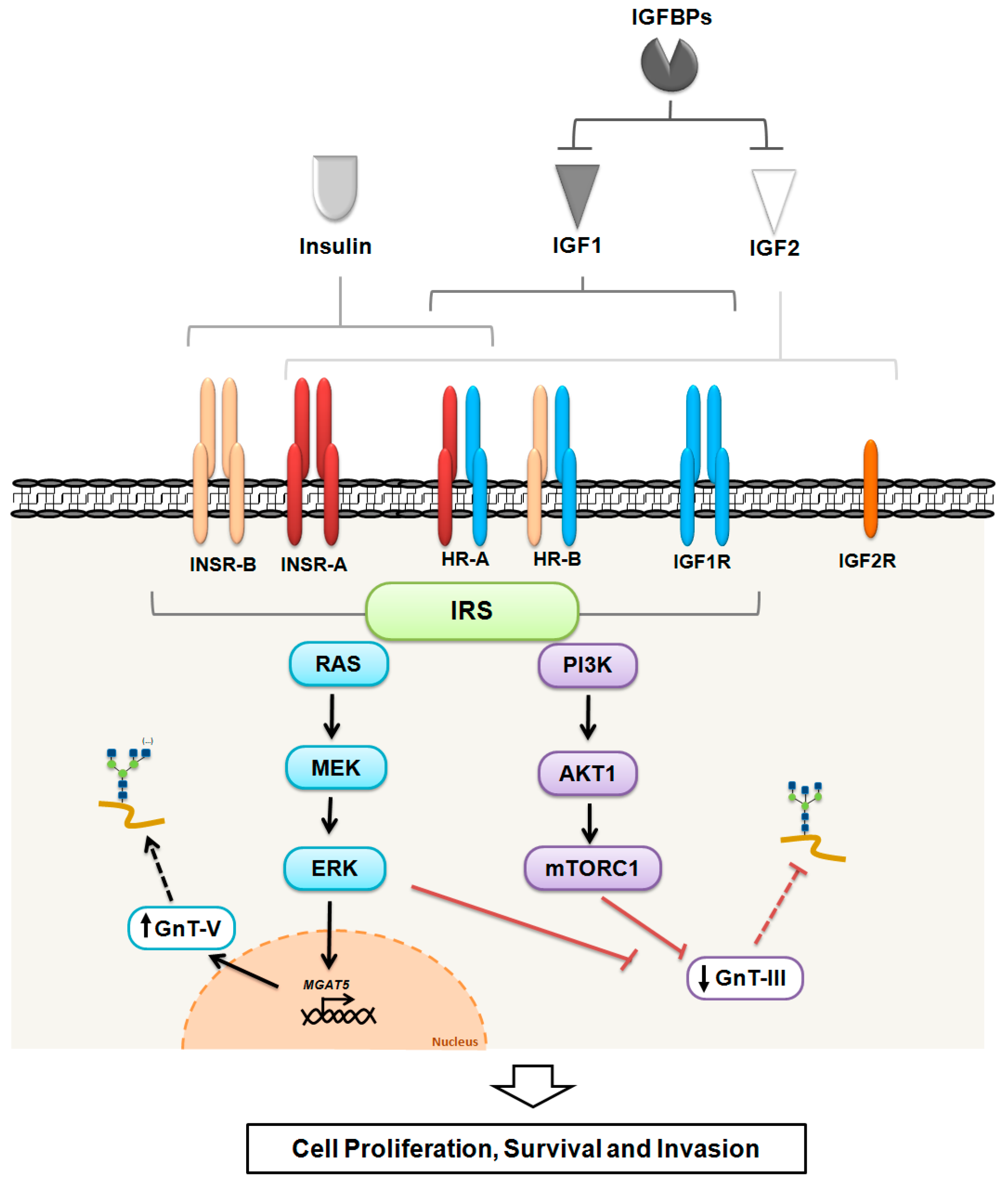 Ijms 18 01921 g001 550