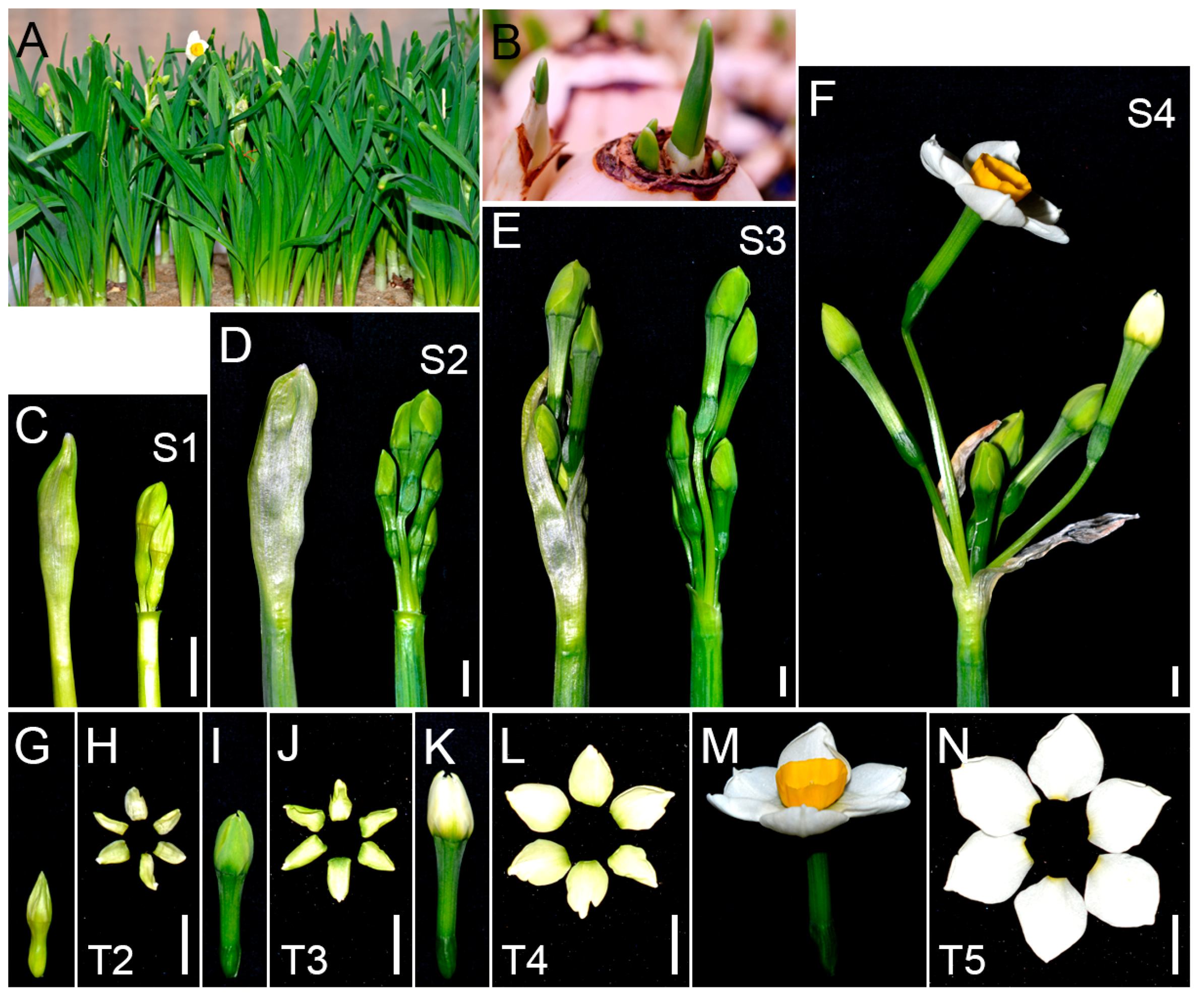 Ijms 18 01923 g001 Ijms 18 01923 g001