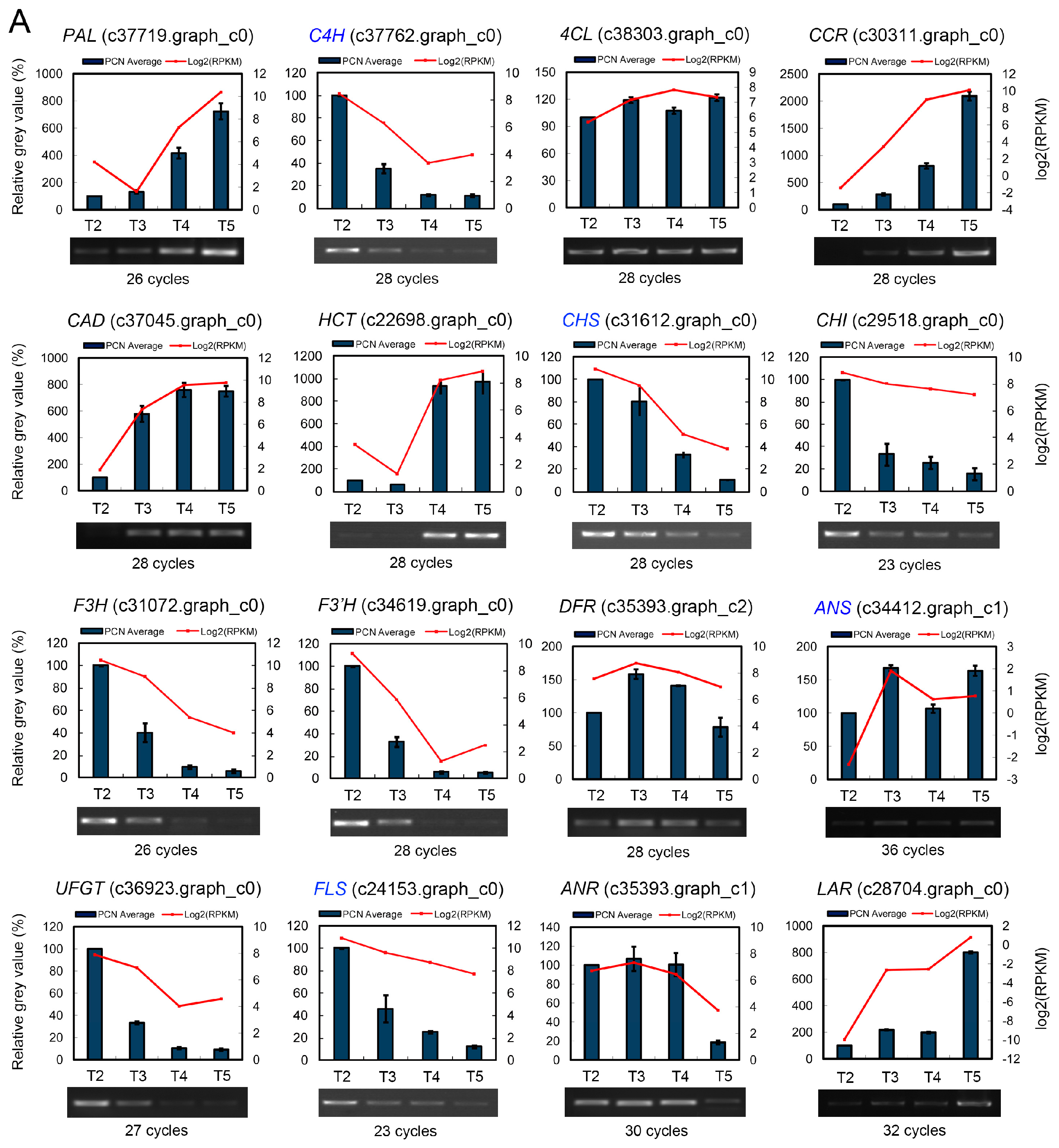 Ijms 18 01923 g006a Ijms 18 01923 g006a
