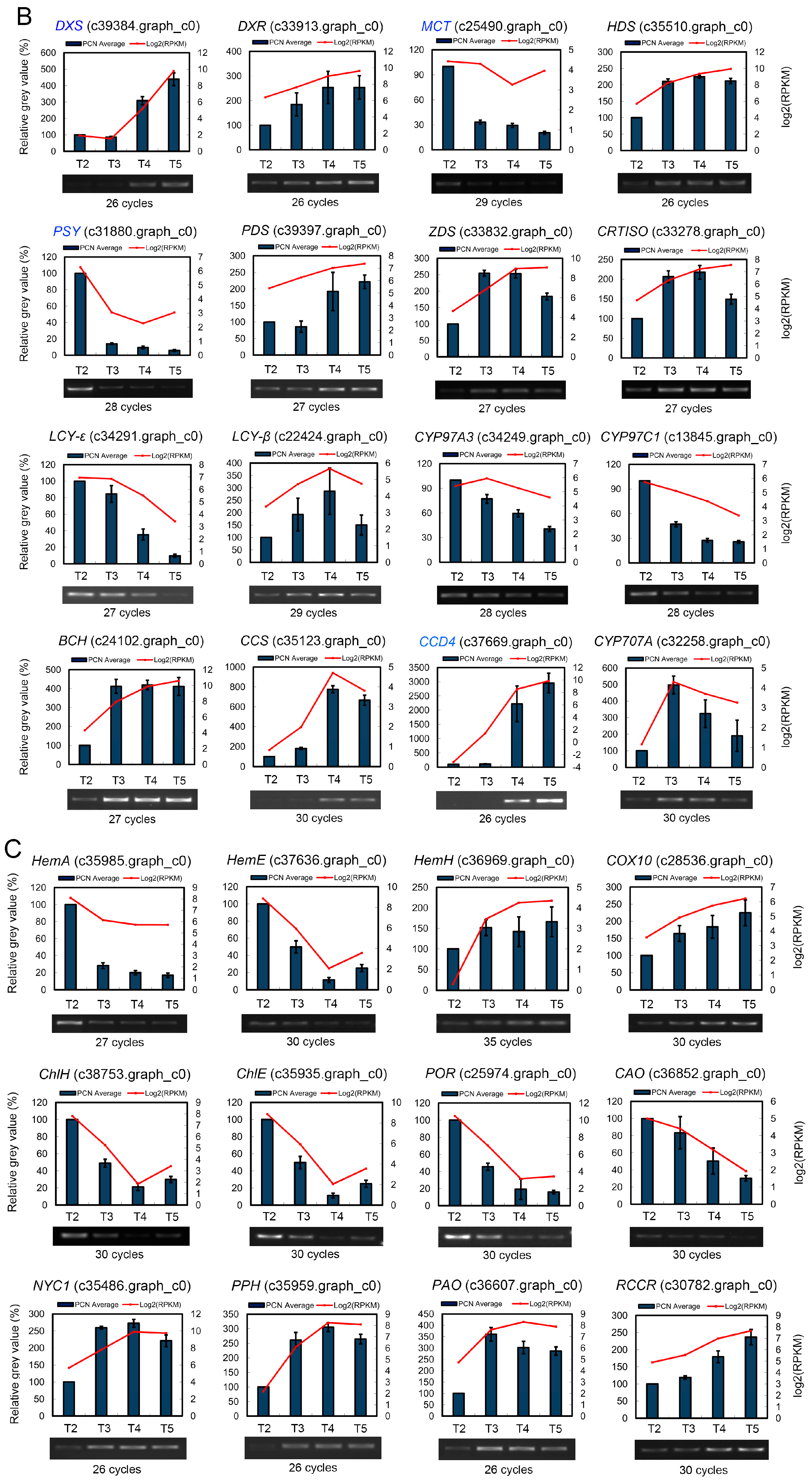 Ijms 18 01923 g006b Ijms 18 01923 g006b