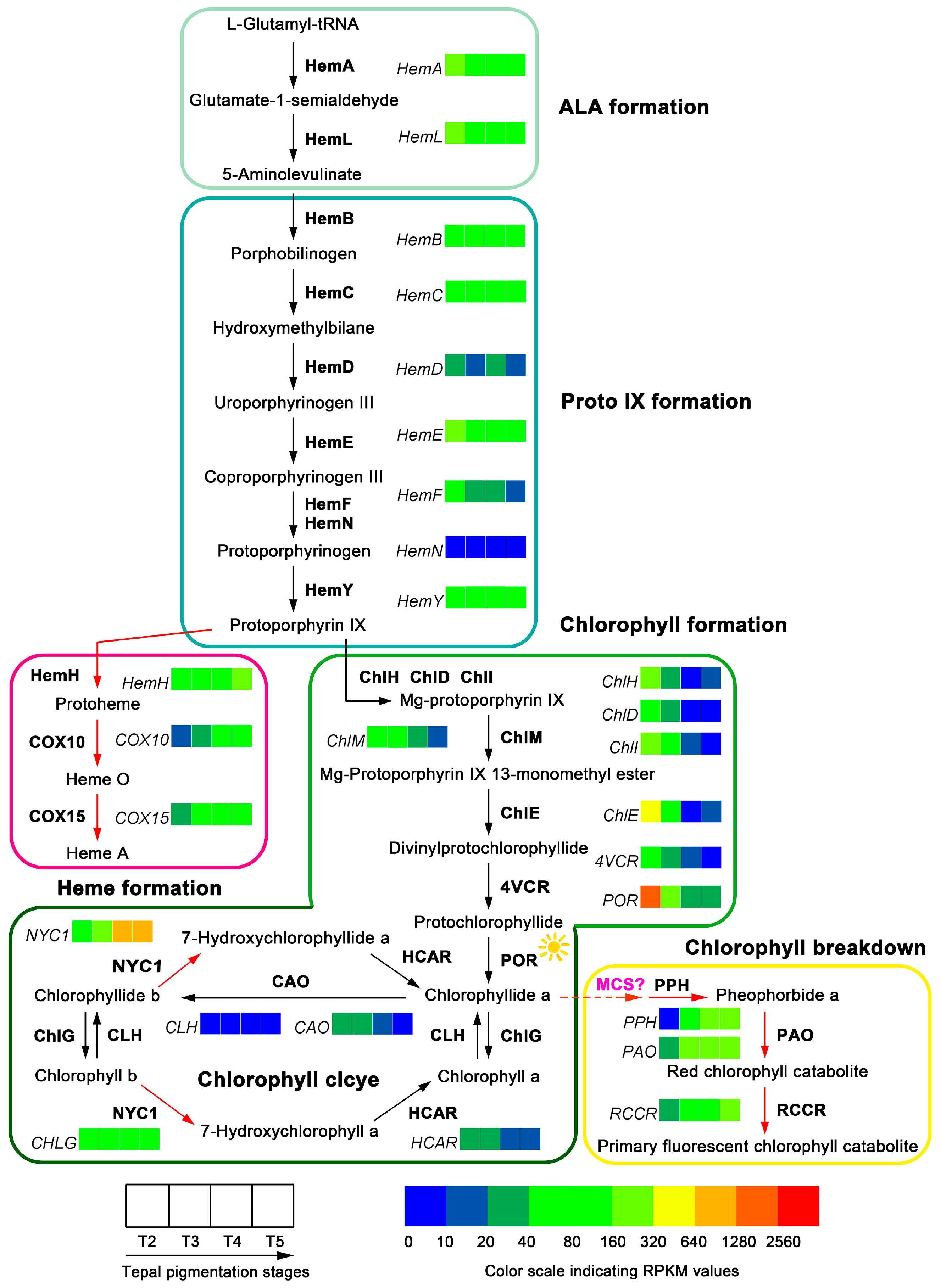 Ijms 18 01923 g009 Ijms 18 01923 g009