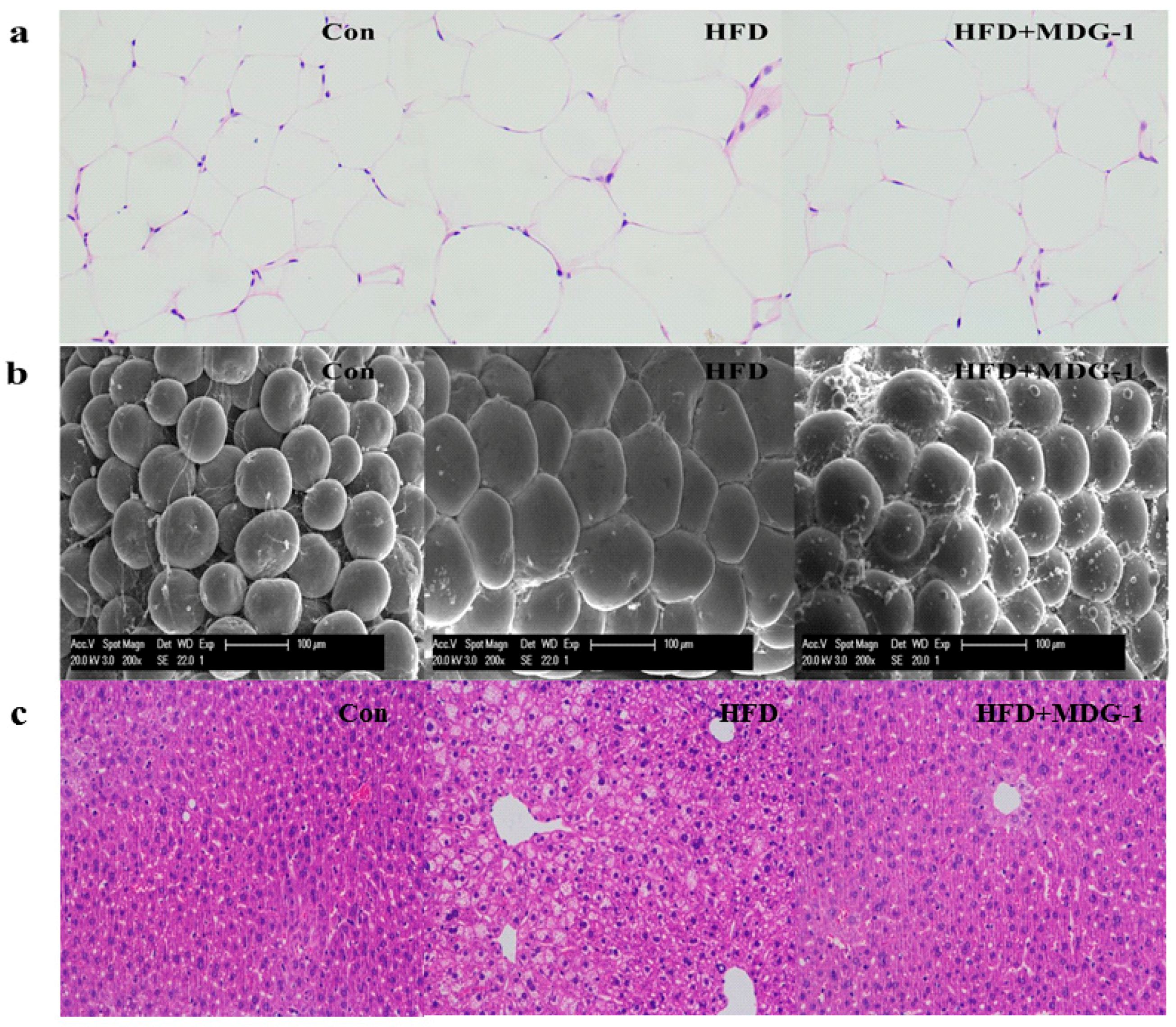Ijms 18 01930 g002 550