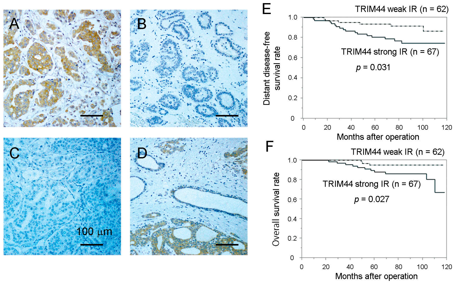 Ijms 18 01931 g001 Ijms 18 01931 g001