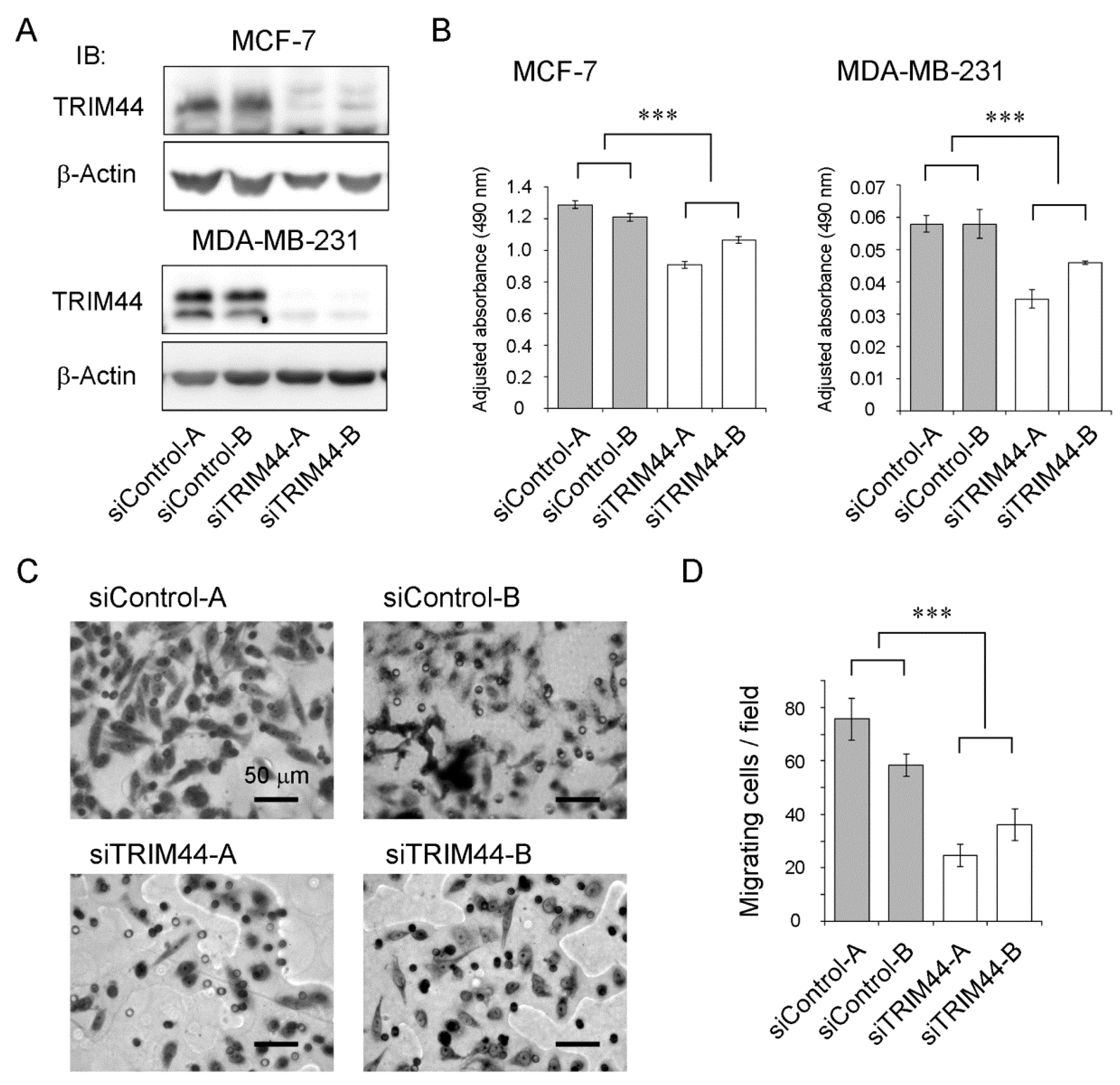 Ijms 18 01931 g002 Ijms 18 01931 g002