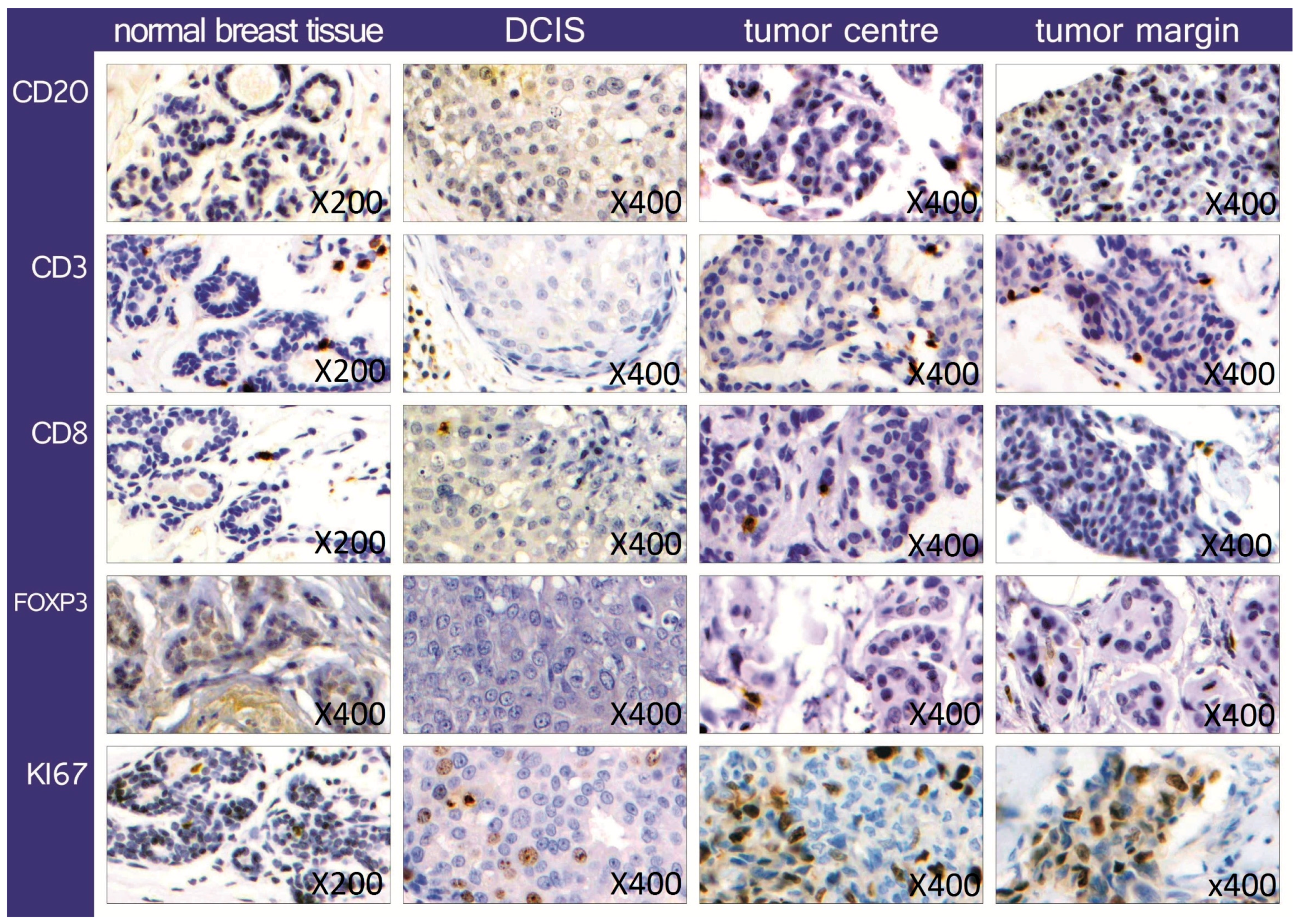 Ijms 18 01936 g001 Ijms 18 01936 g001