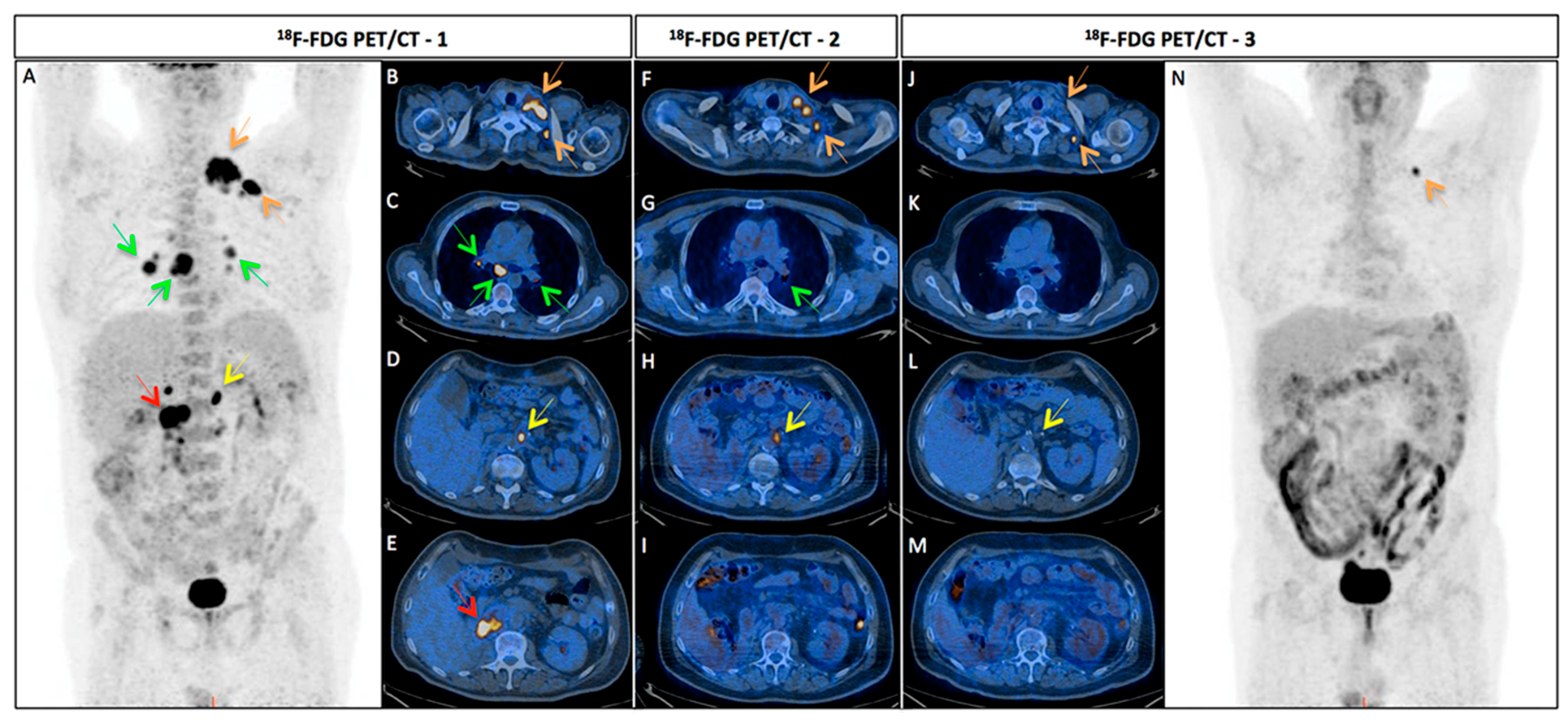 Ijms 18 01937 g003 Ijms 18 01937 g003