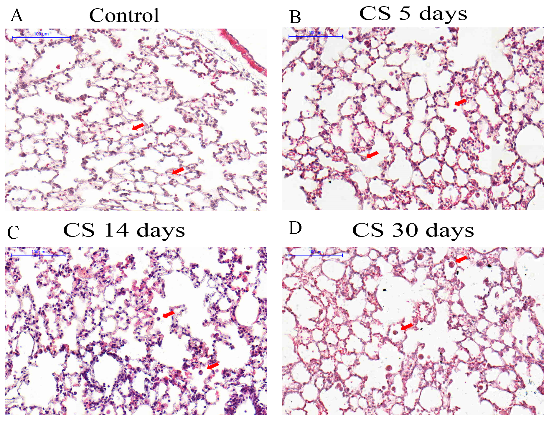 Ijms 18 01940 g001 550