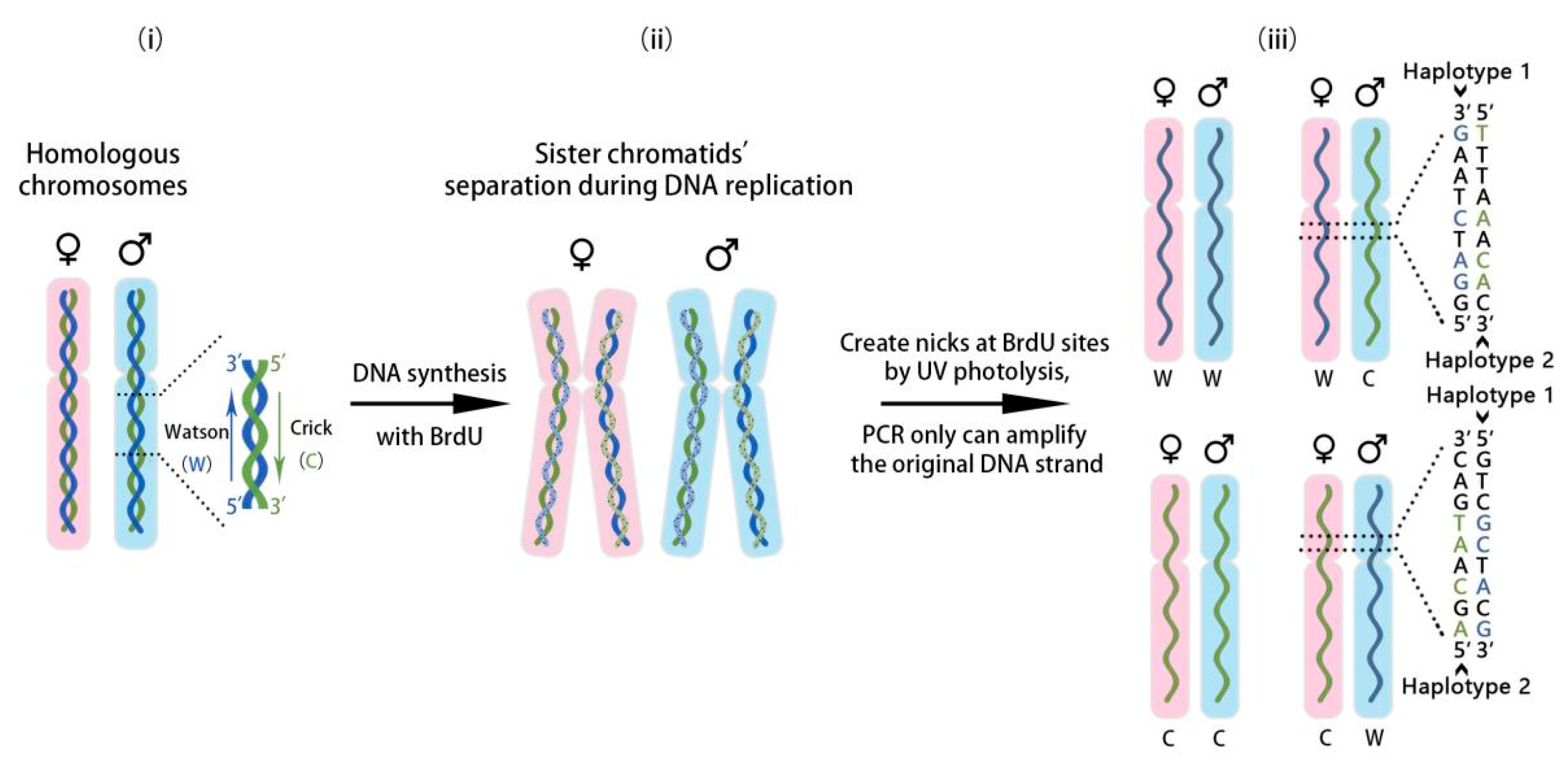 Ijms 18 01944 g001 Ijms 18 01944 g001