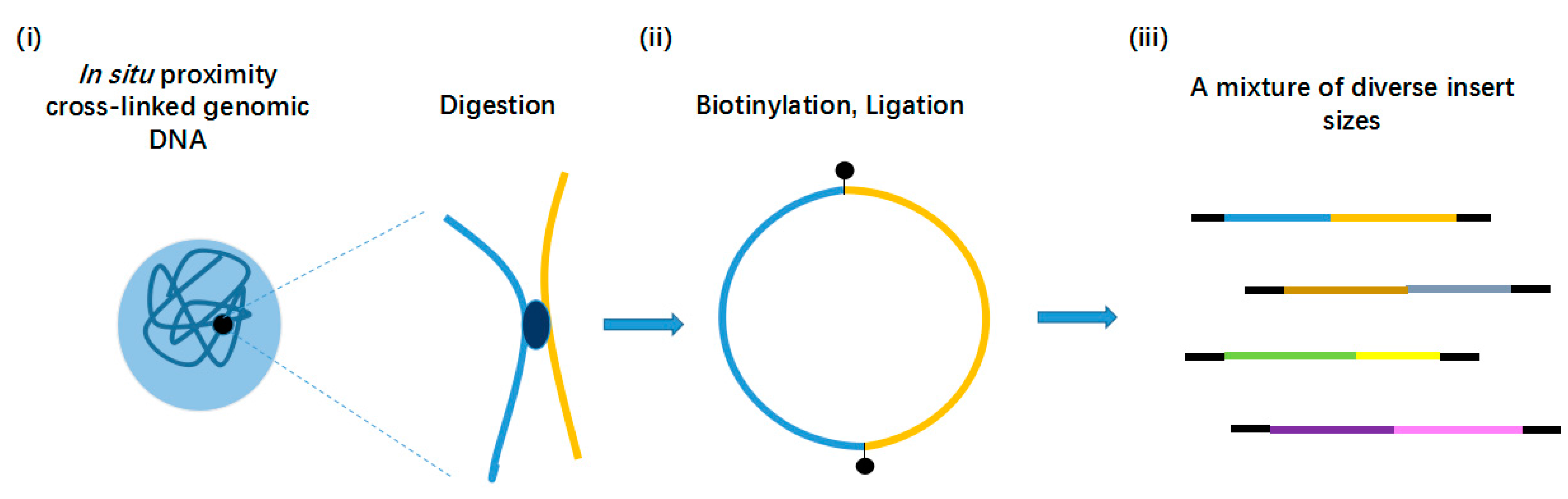 Ijms 18 01944 g002 Ijms 18 01944 g002