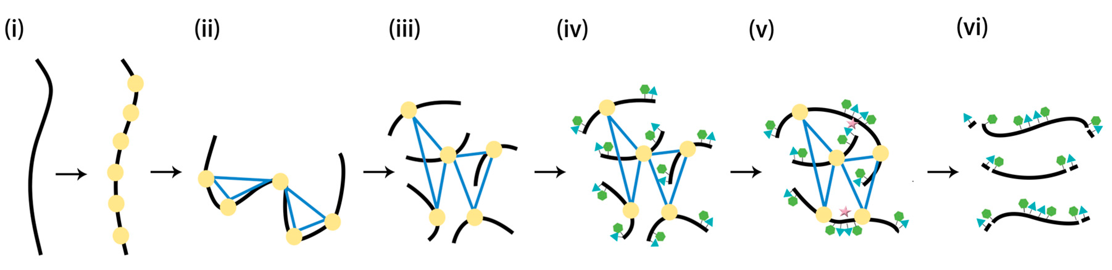 Ijms 18 01944 g003 Ijms 18 01944 g003