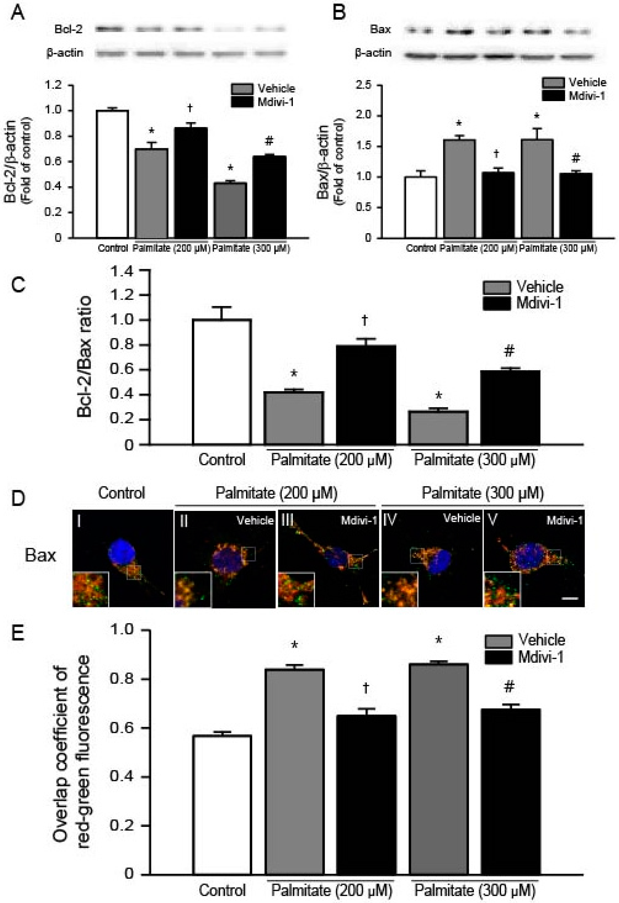 Ijms 18 01947 g005 550