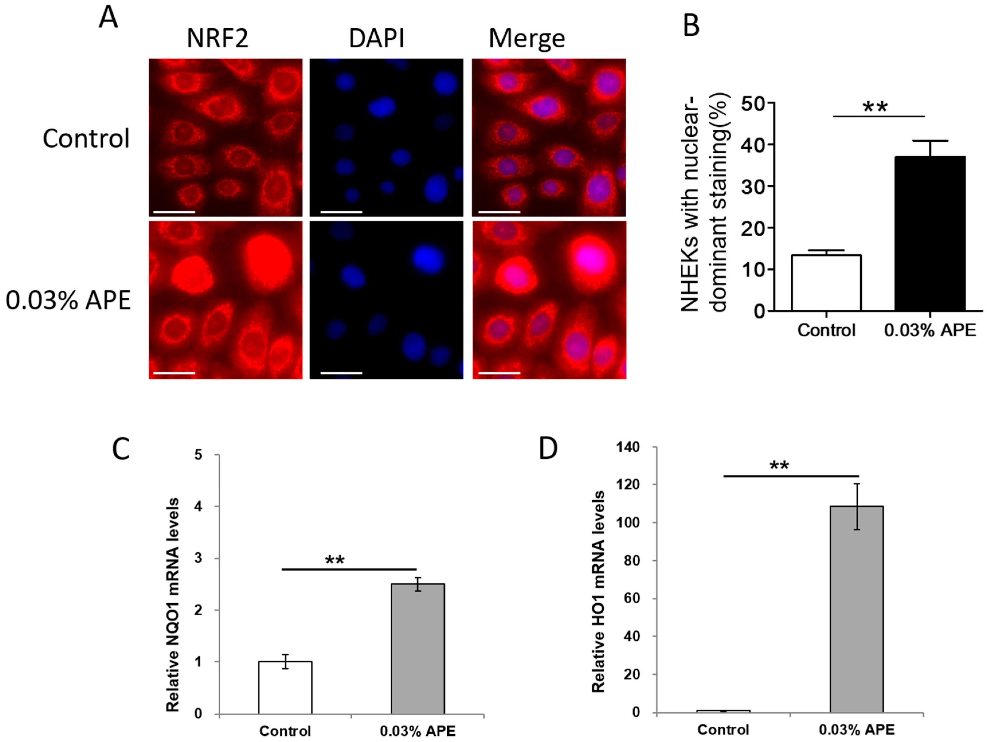 Ijms 18 01948 g001 Ijms 18 01948 g001