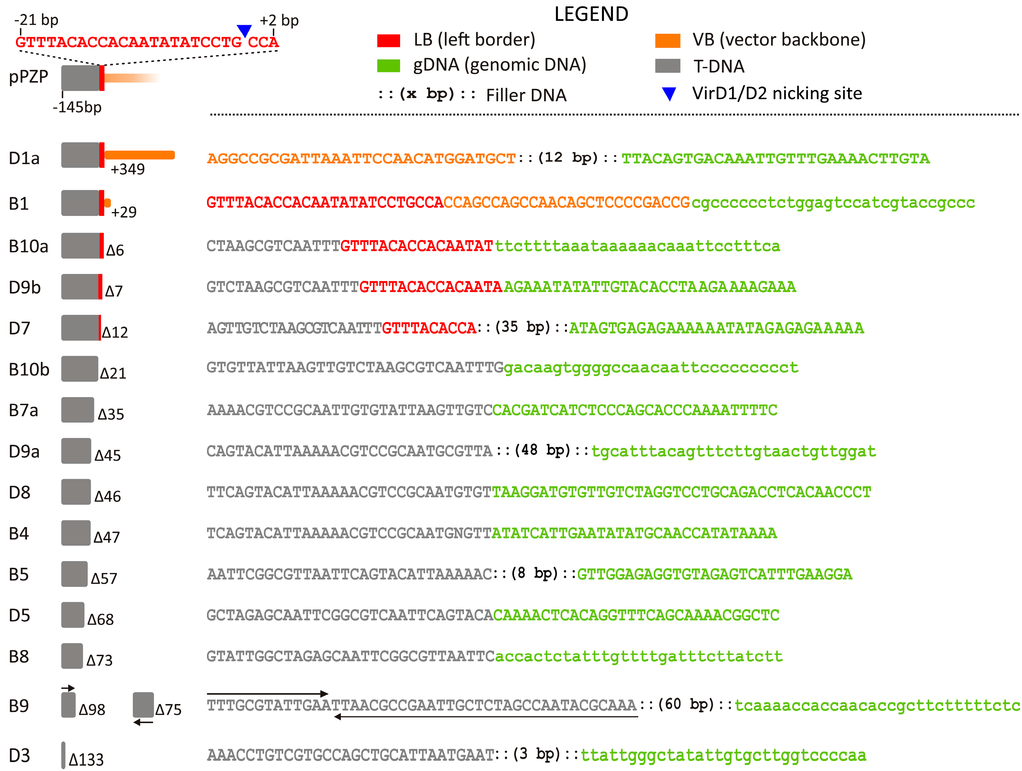 Ijms 18 01951 g001 550