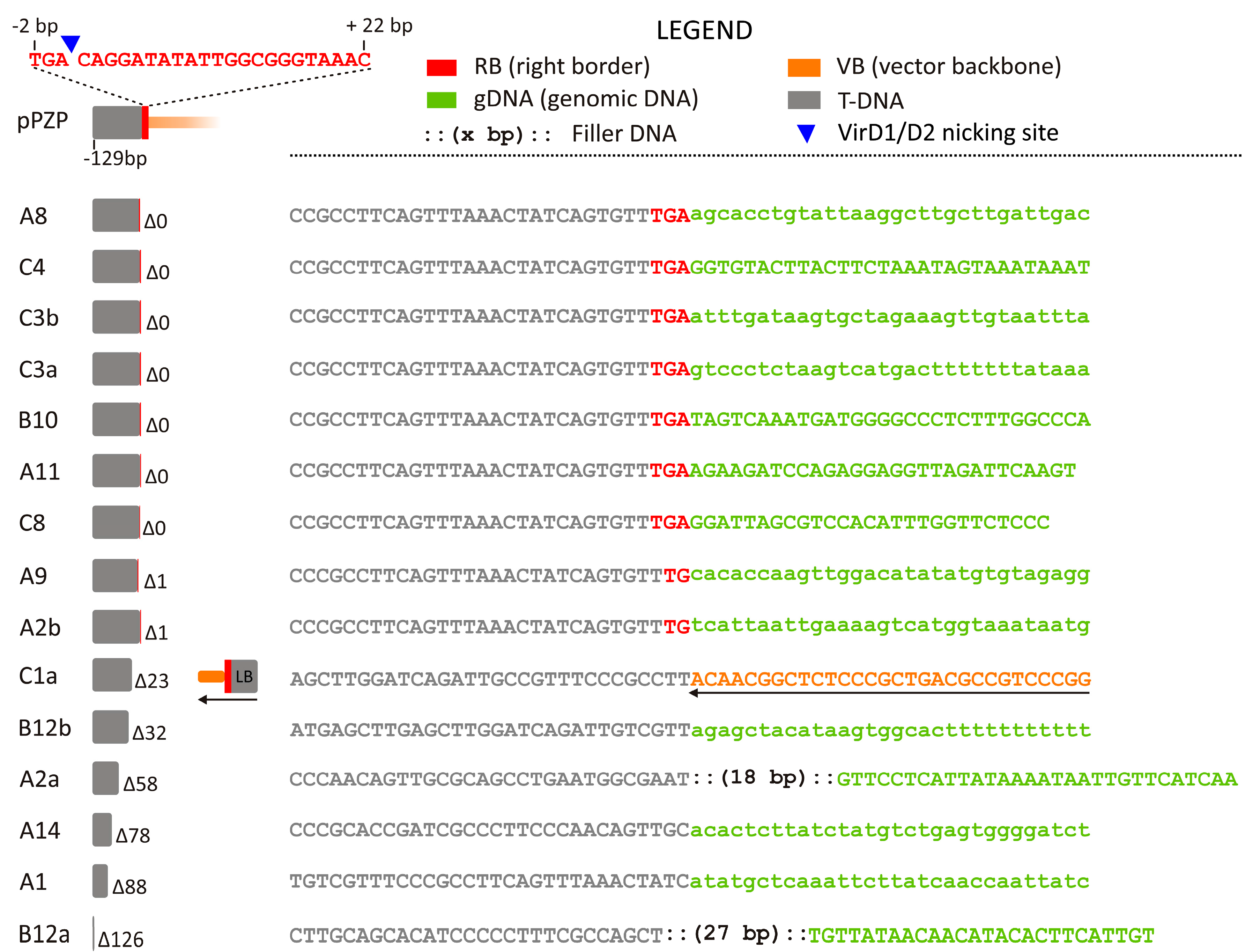 Ijms 18 01951 g002 550