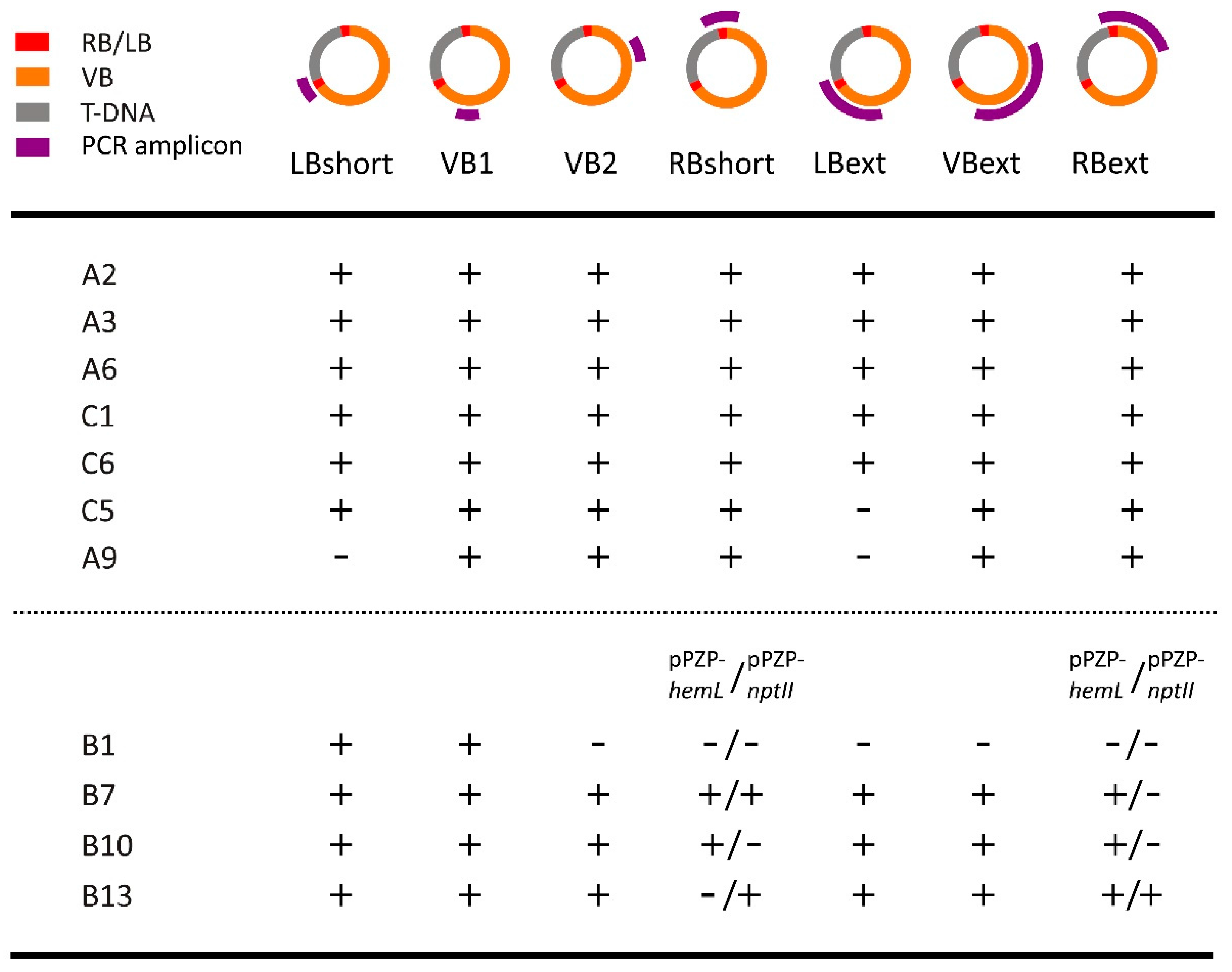 Ijms 18 01951 g003 550