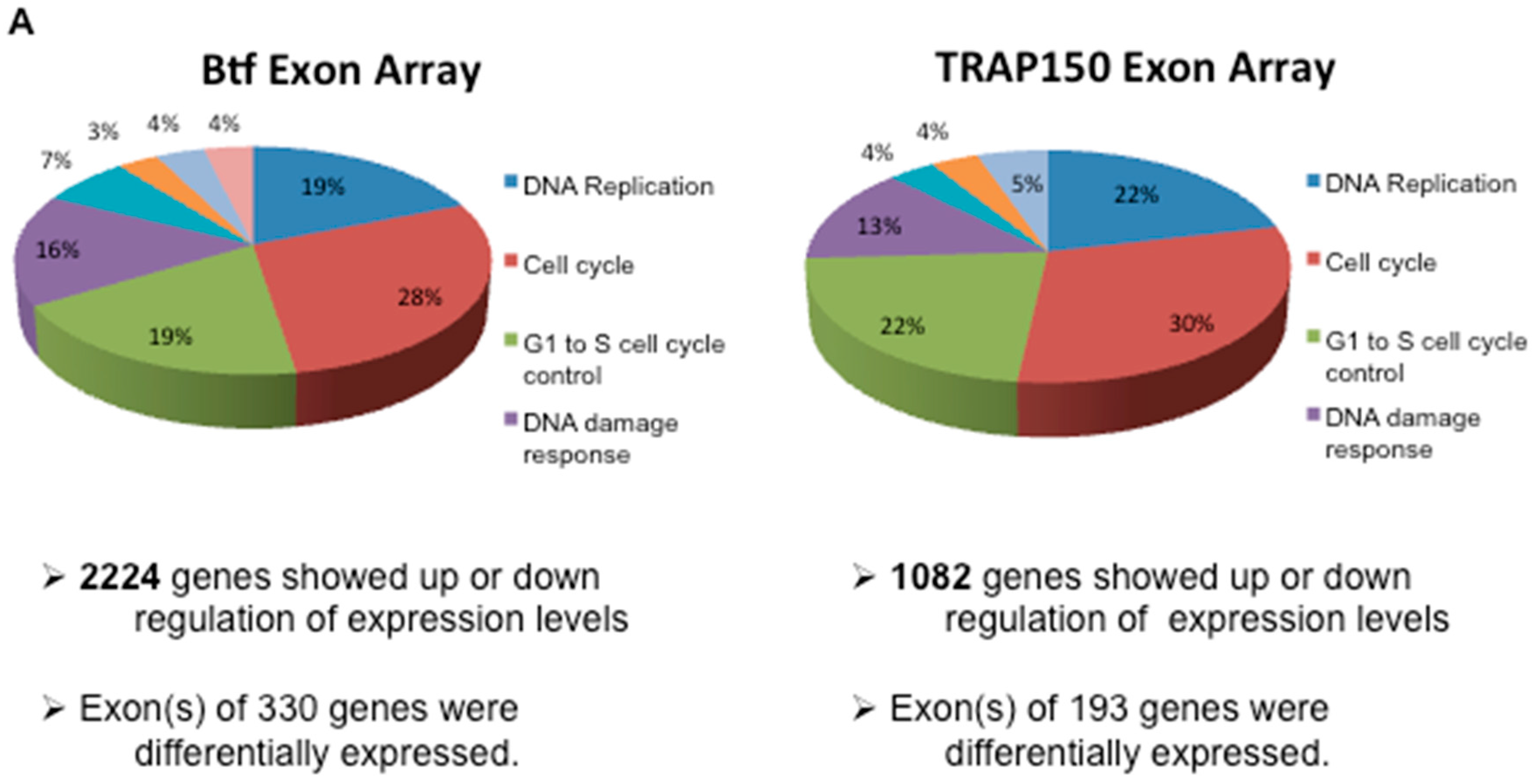 Ijms 18 01956 g003a 550