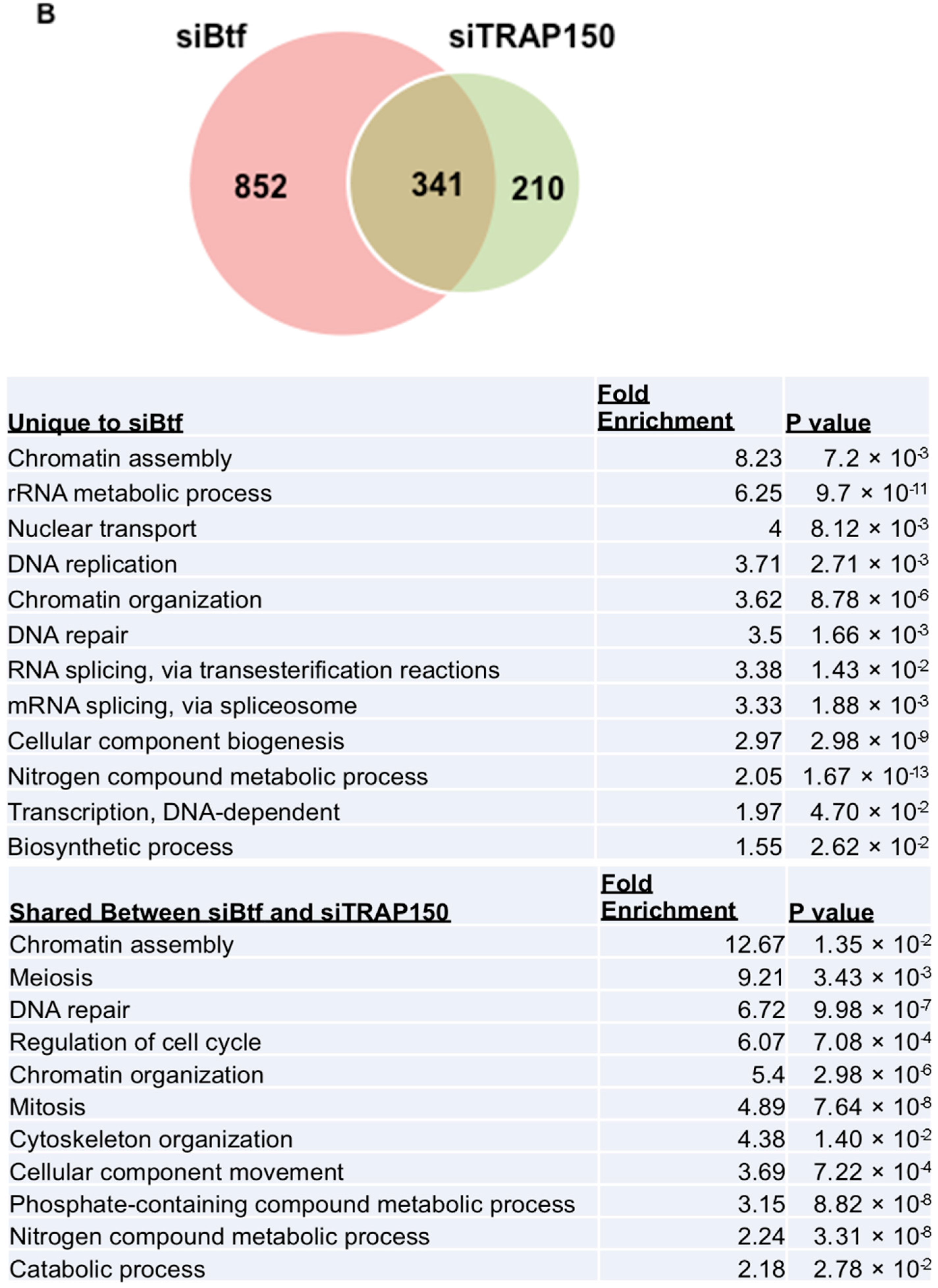 Alignment of Mitotic Chromosomes in Human Cells Involves SR Biology Diagrams