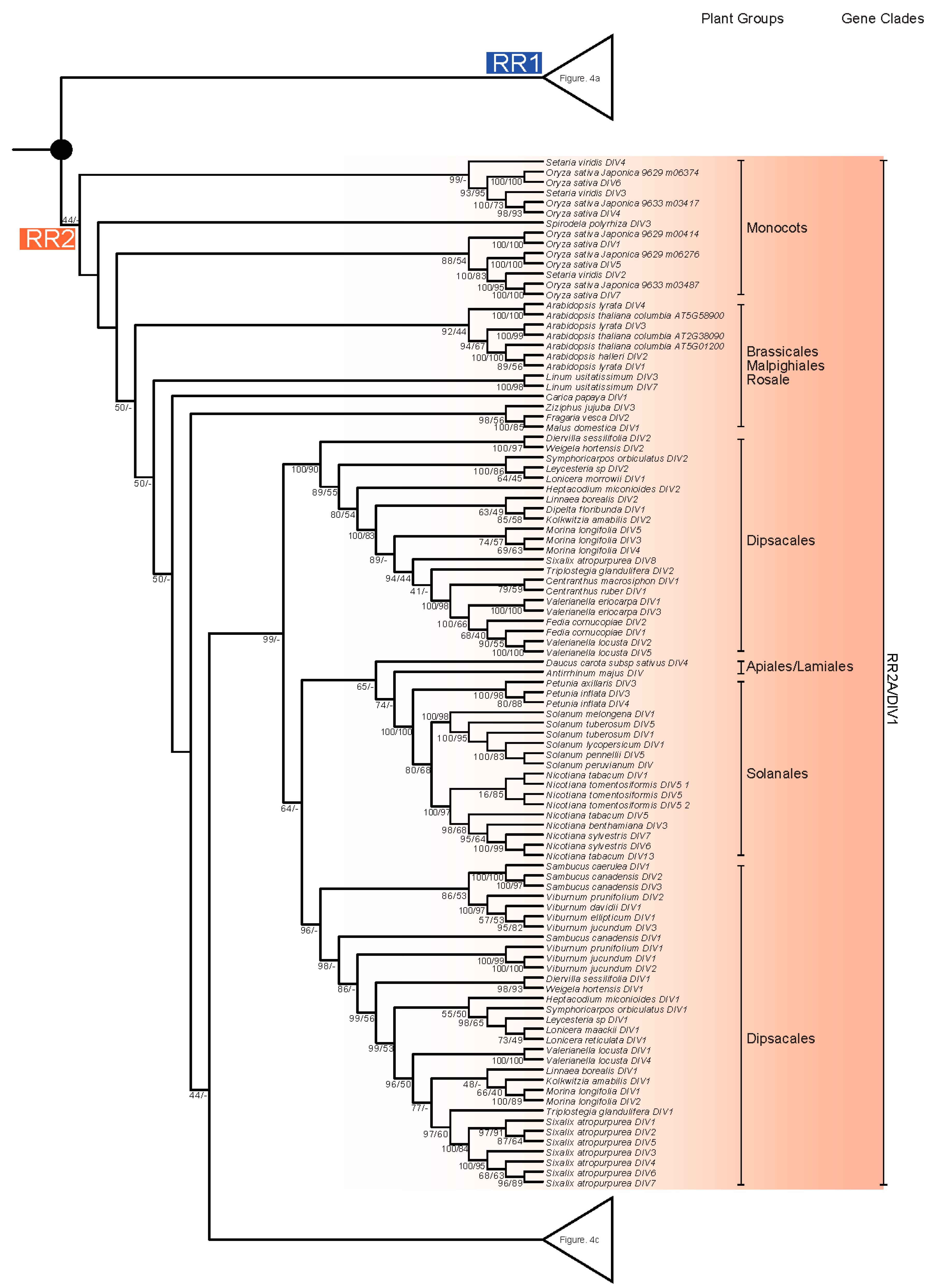 Ijms 18 01961 g004b 550
