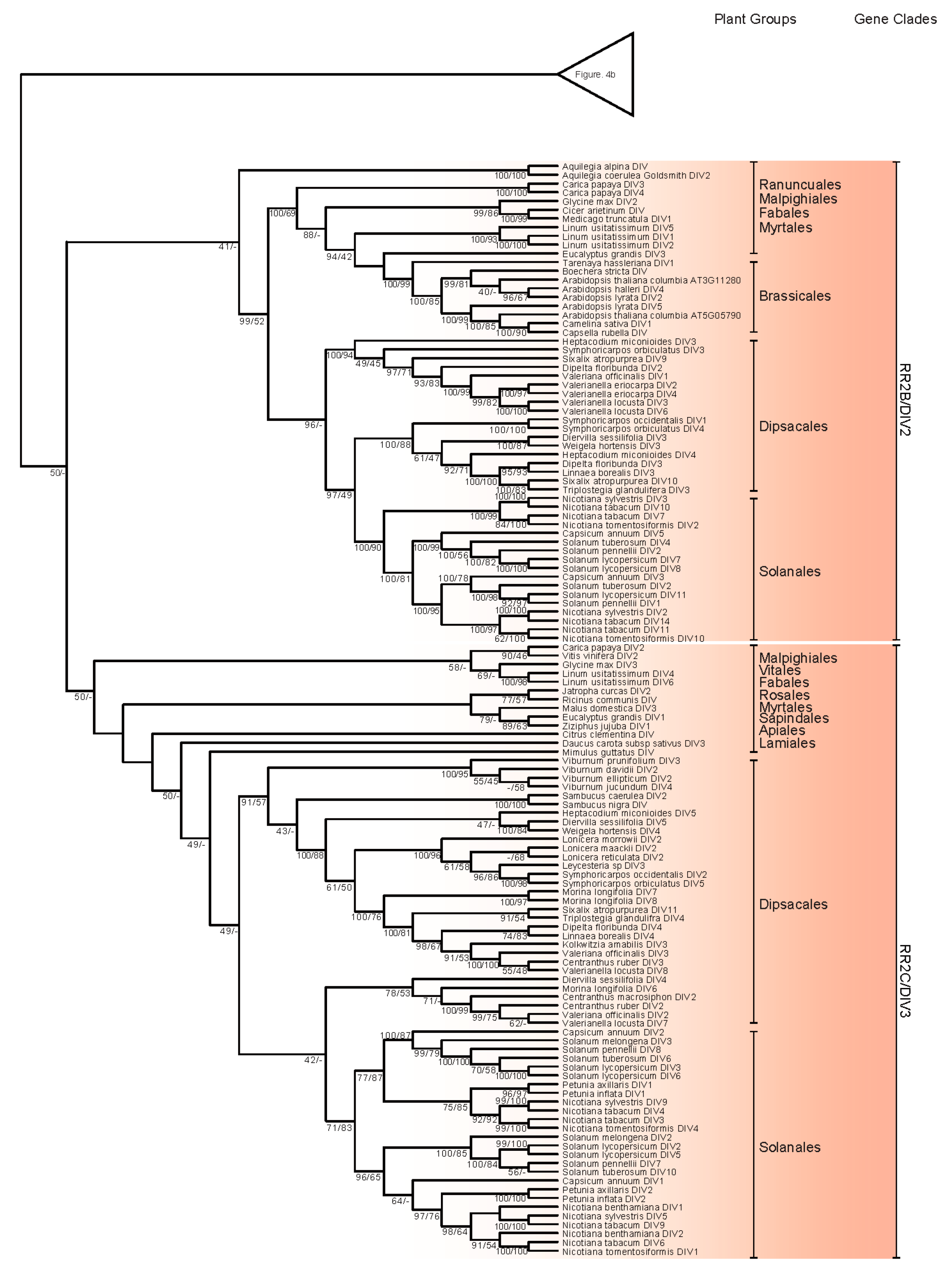 Ijms 18 01961 g004c 550