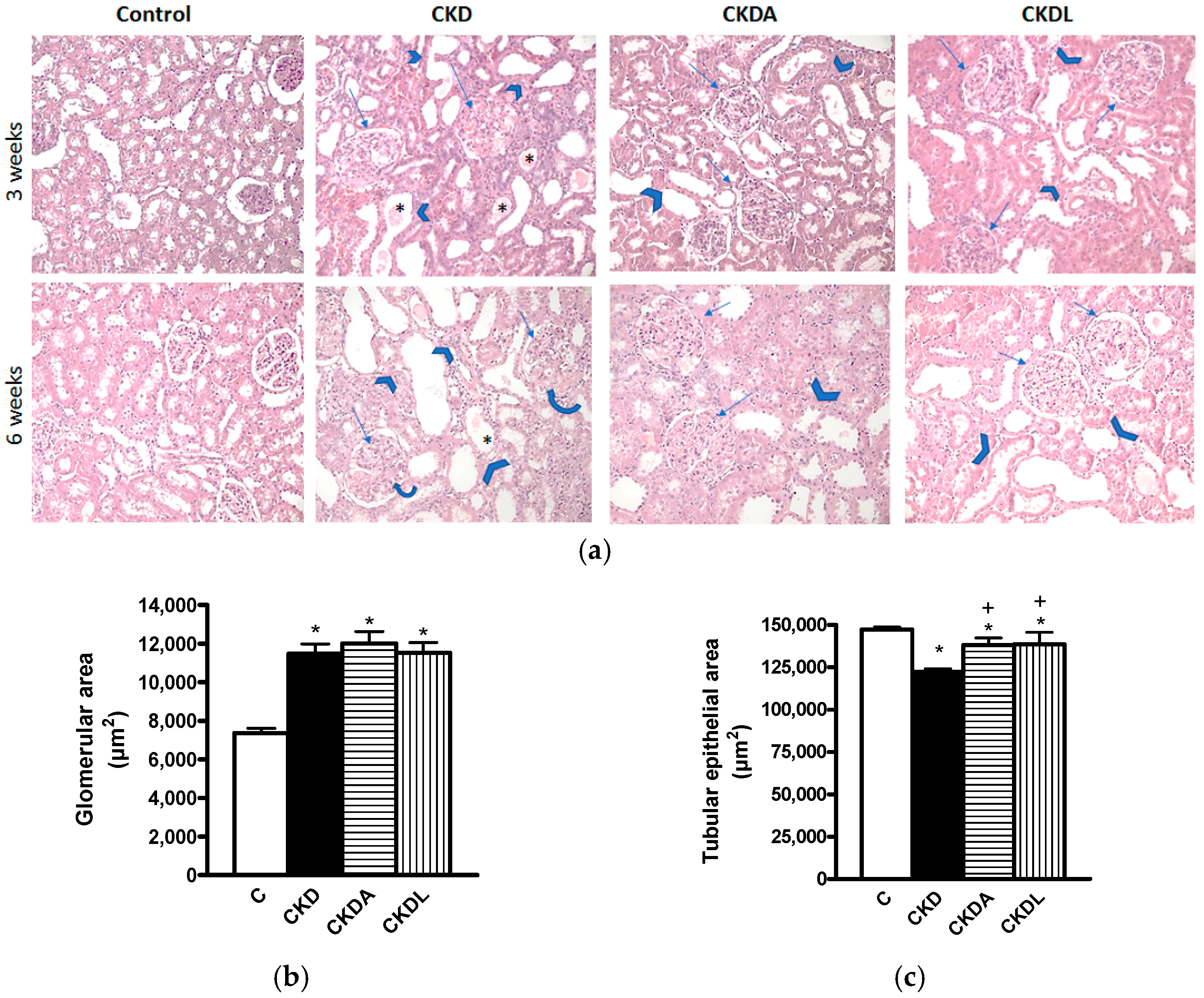 Ijms 18 01980 g003