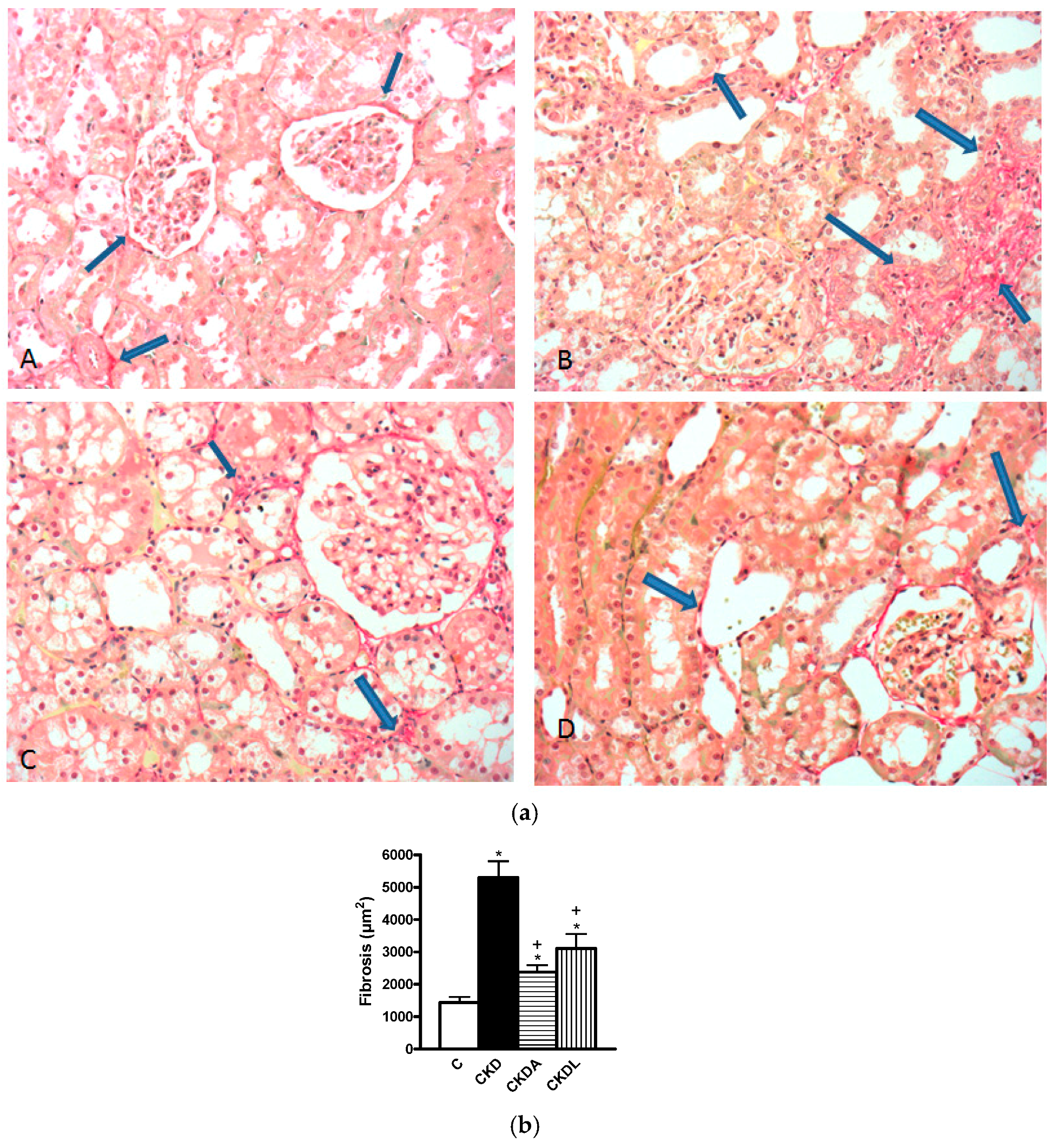 Ijms 18 01980 g004