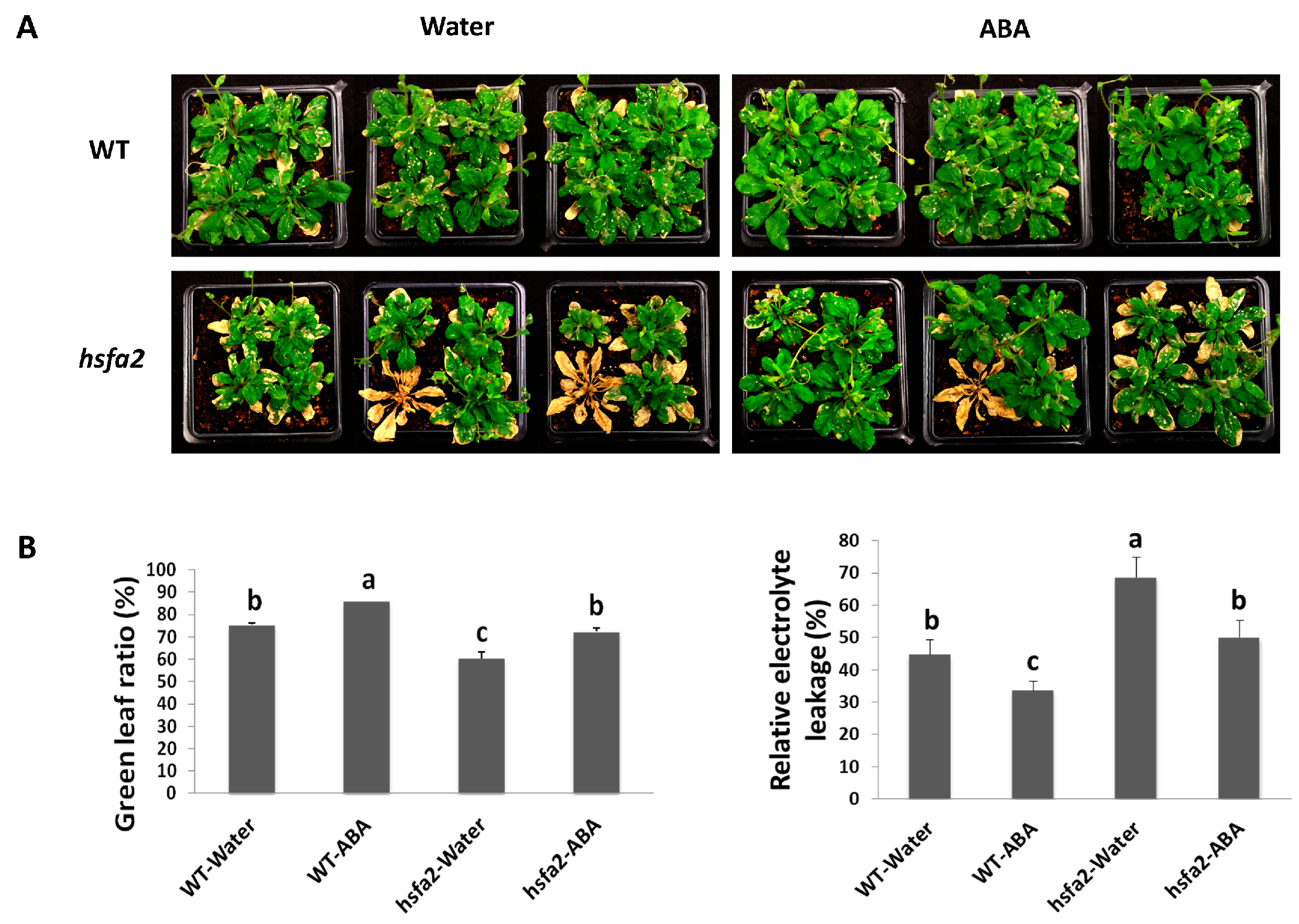 Ijms 18 01981 g007 550