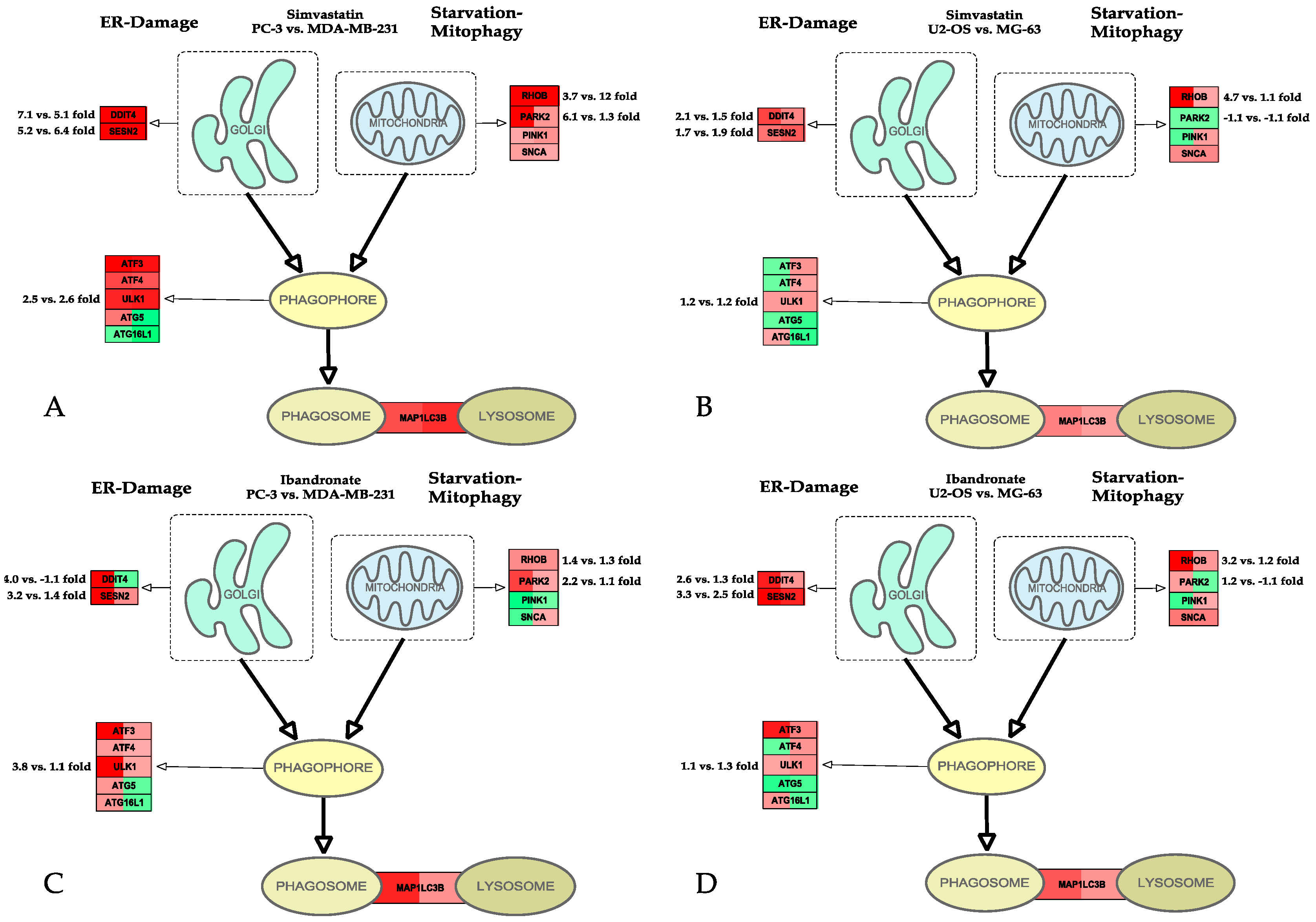 Ijms 18 01982 g003 Ijms 18 01982 g003