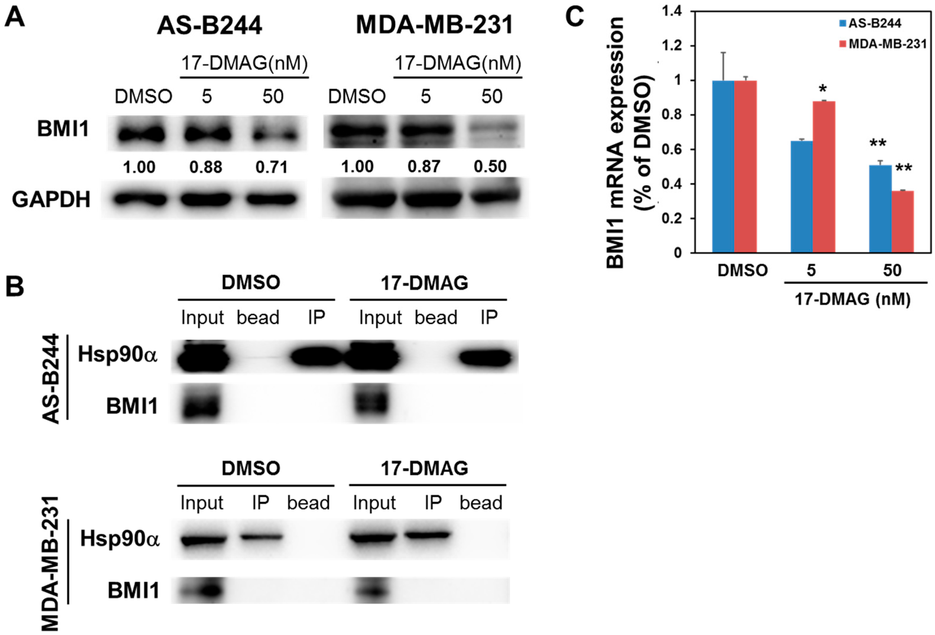 Ijms 18 01986 g002