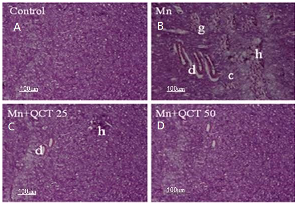 Ijms 18 01989 g010 550