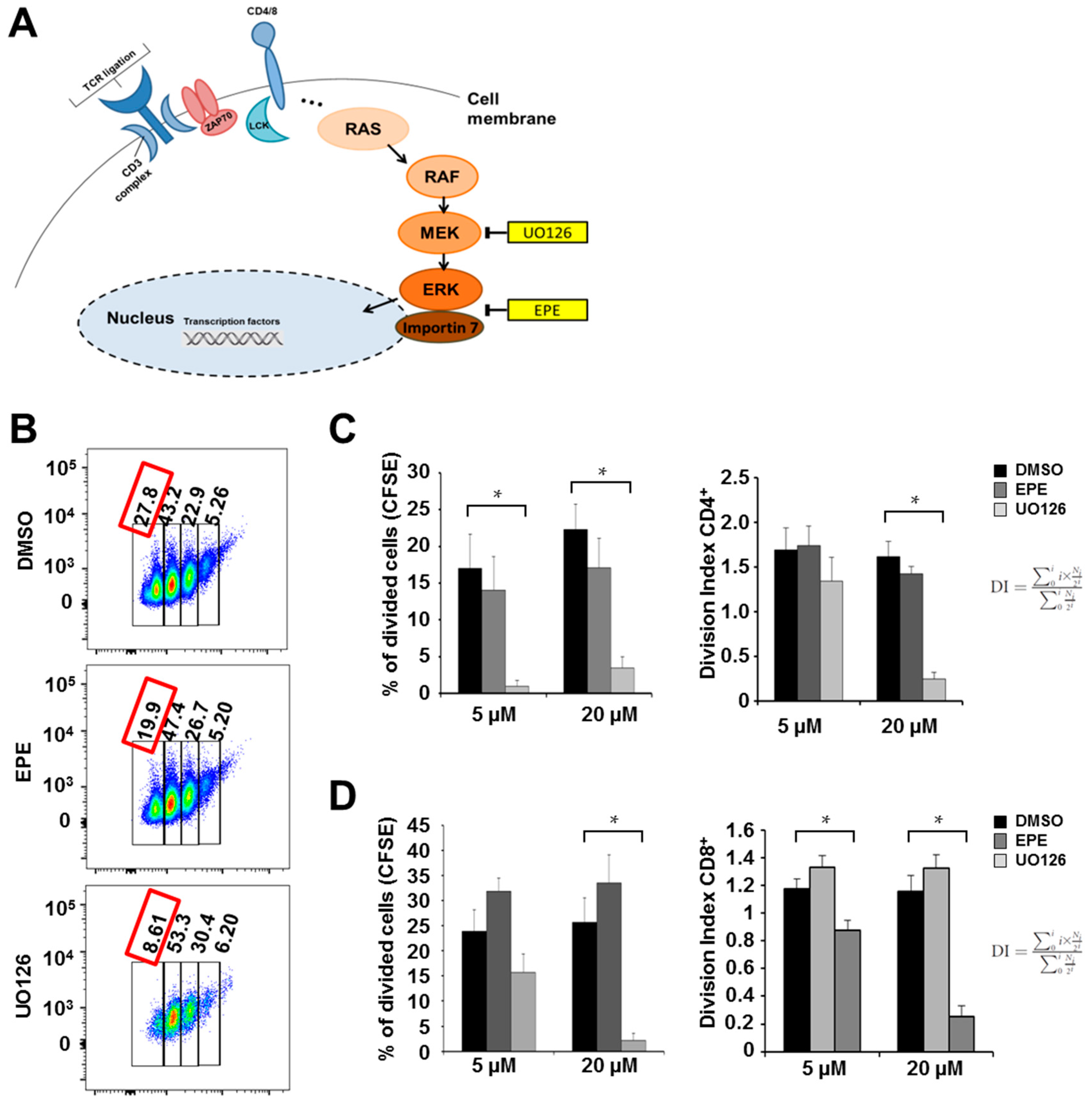 Ijms 18 01990 g001a 550