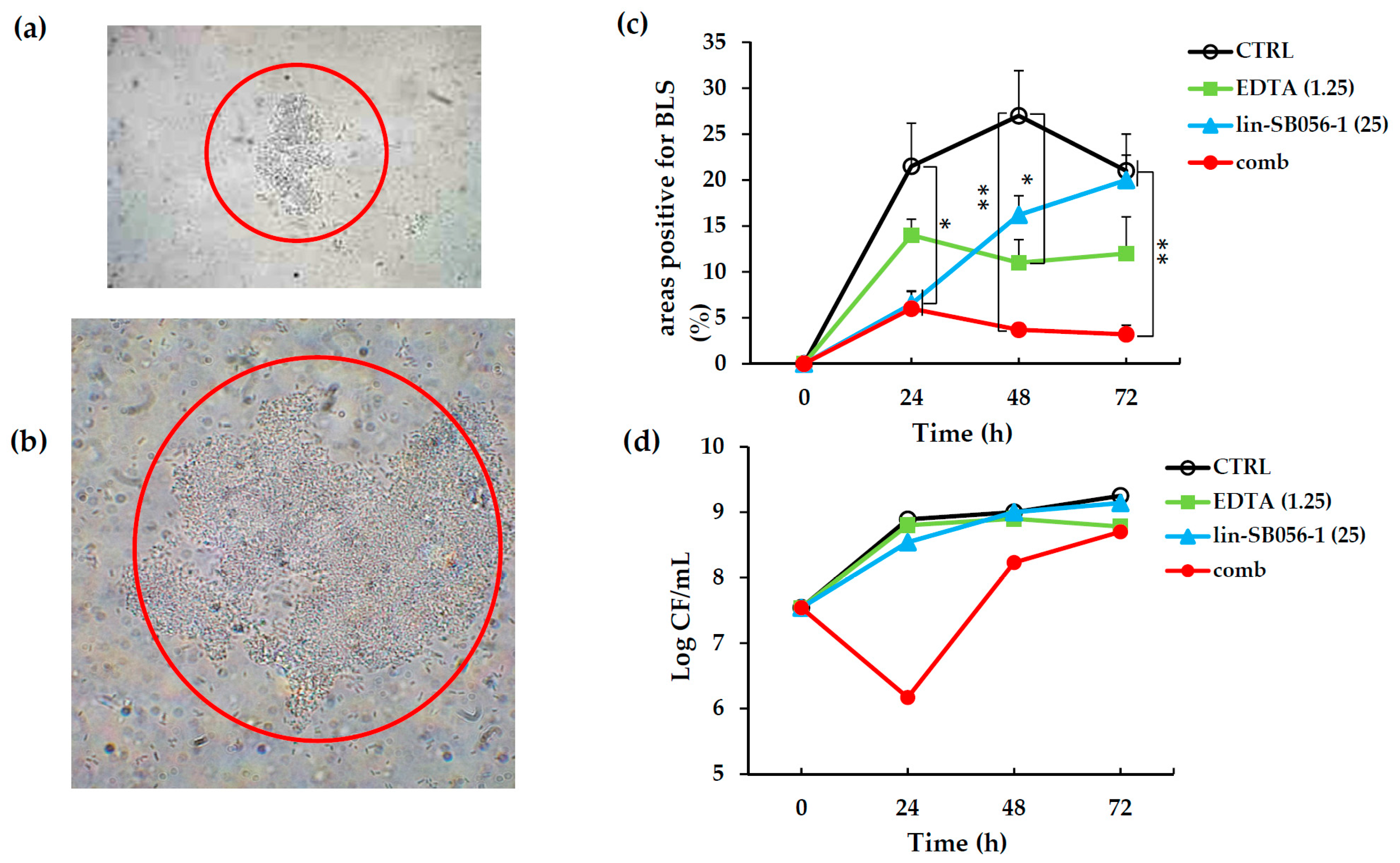 Ijms 18 01994 g004 Ijms 18 01994 g004