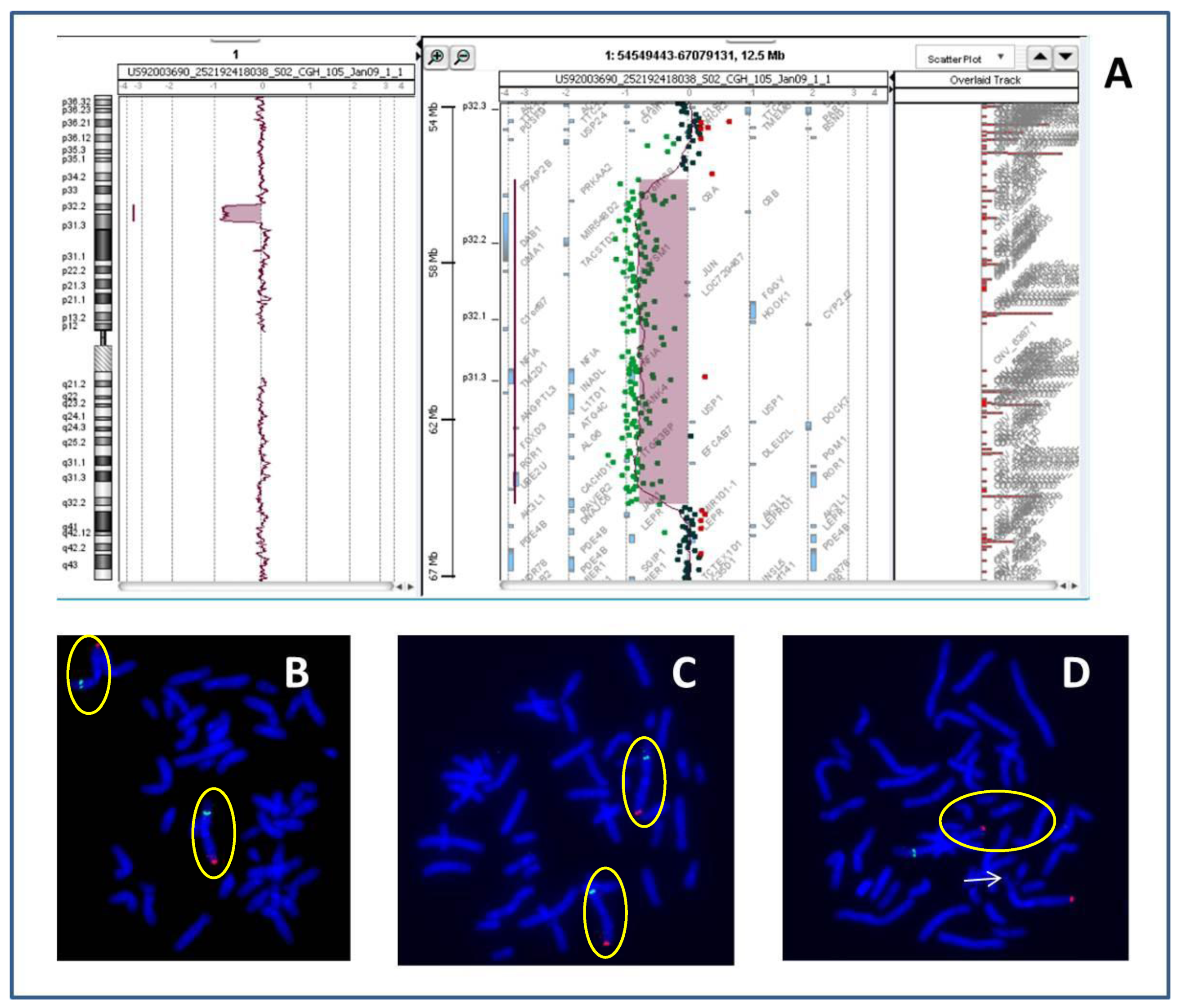 Ijms 18 01998 g003 550