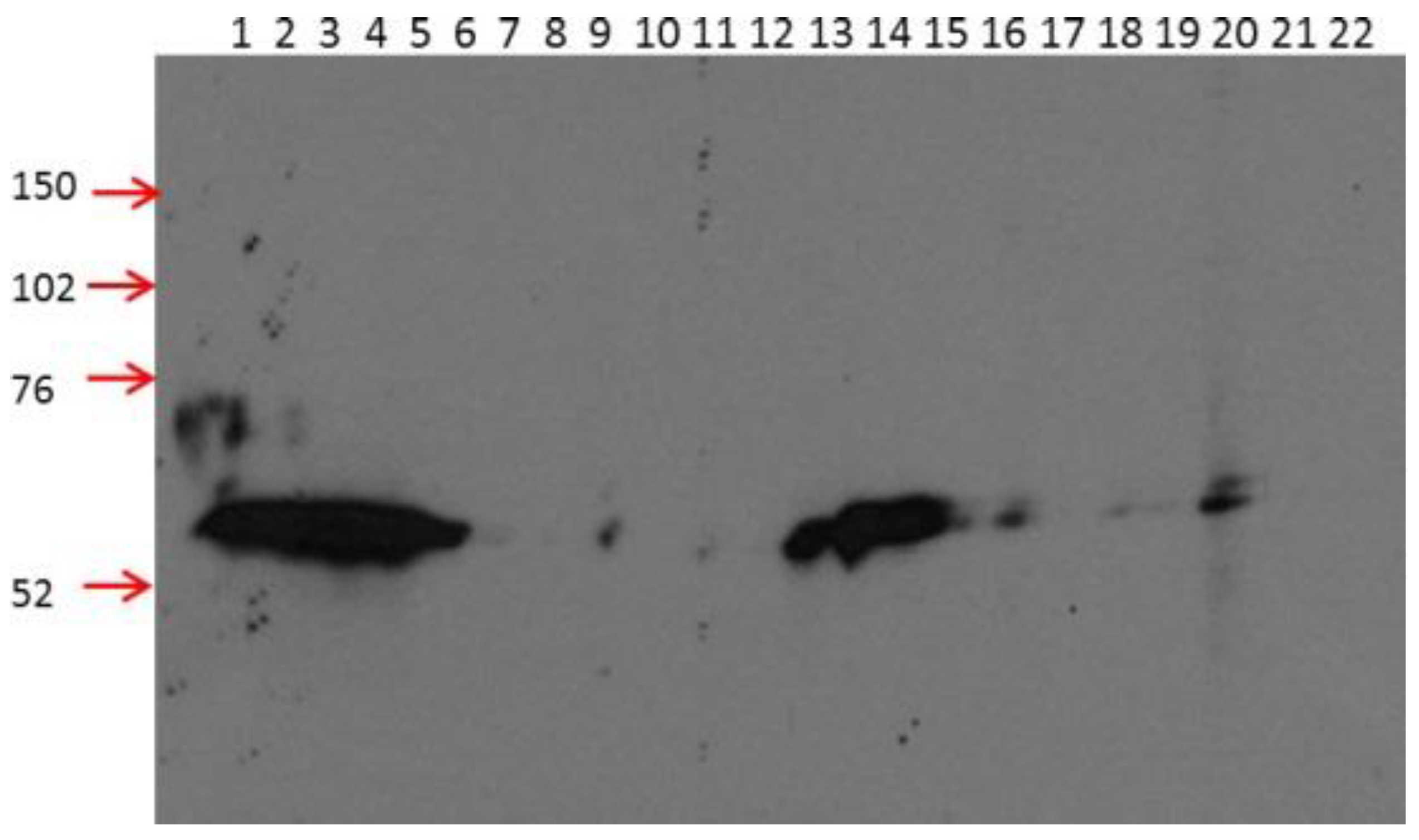 Ijms 18 01999 g001 550