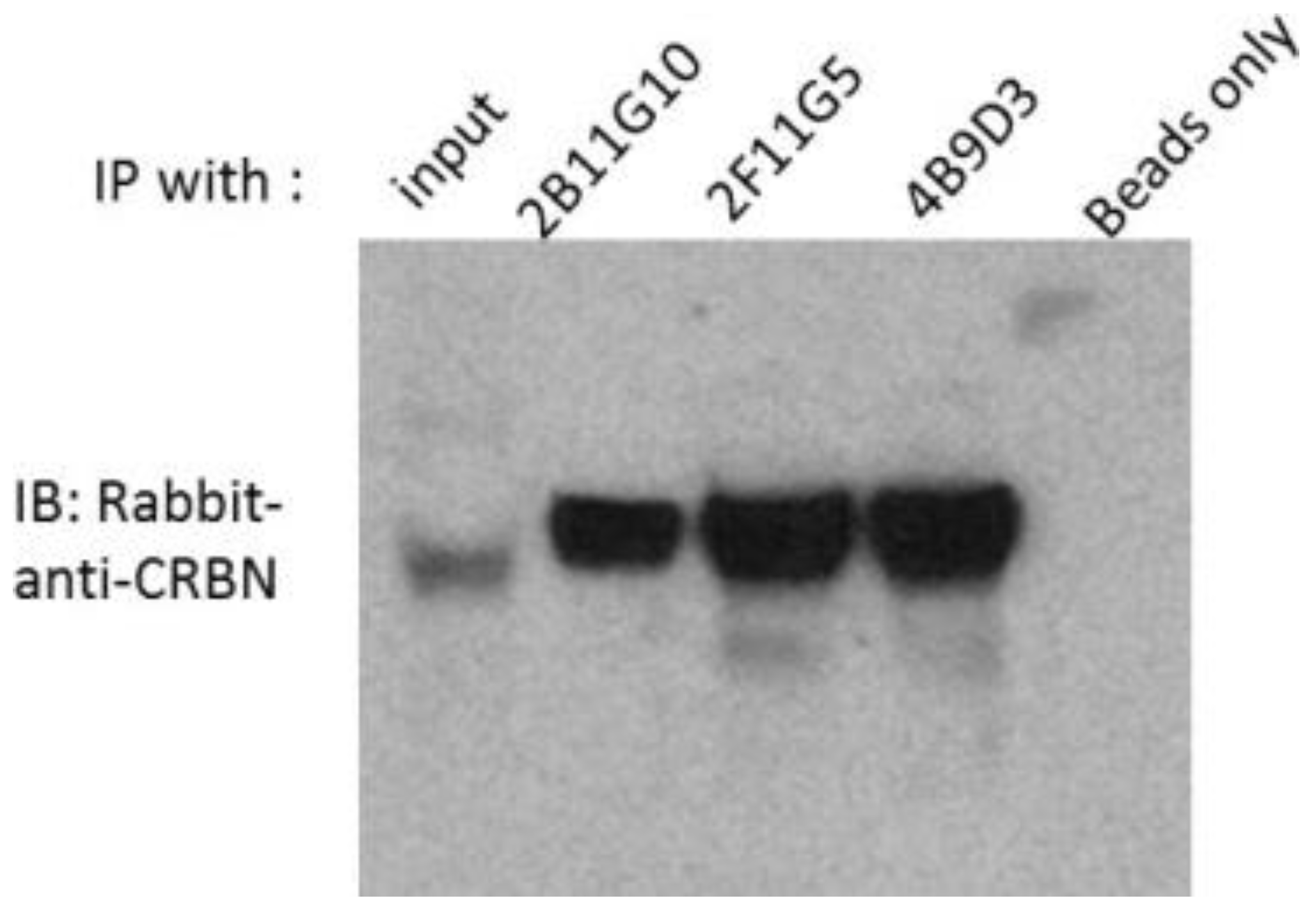 Ijms 18 01999 g002 550