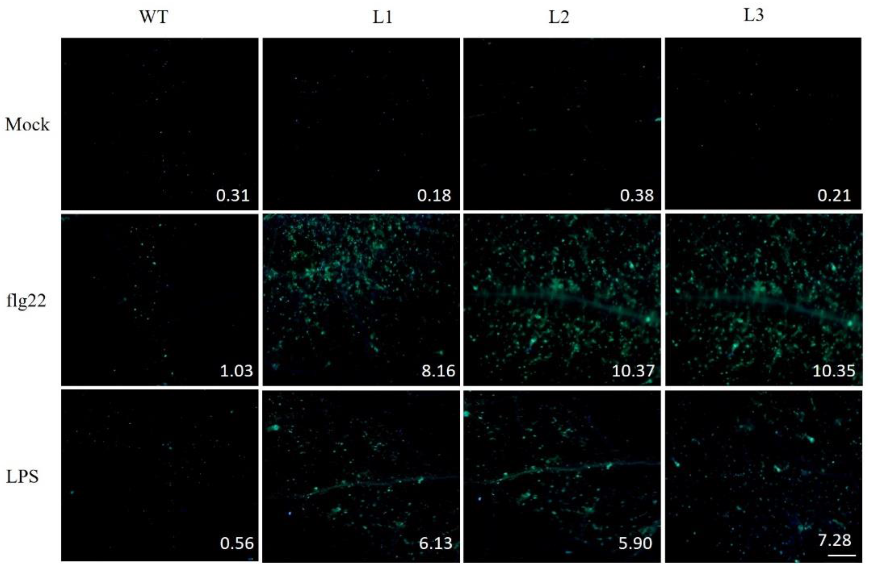 Ijms 18 02000 g009