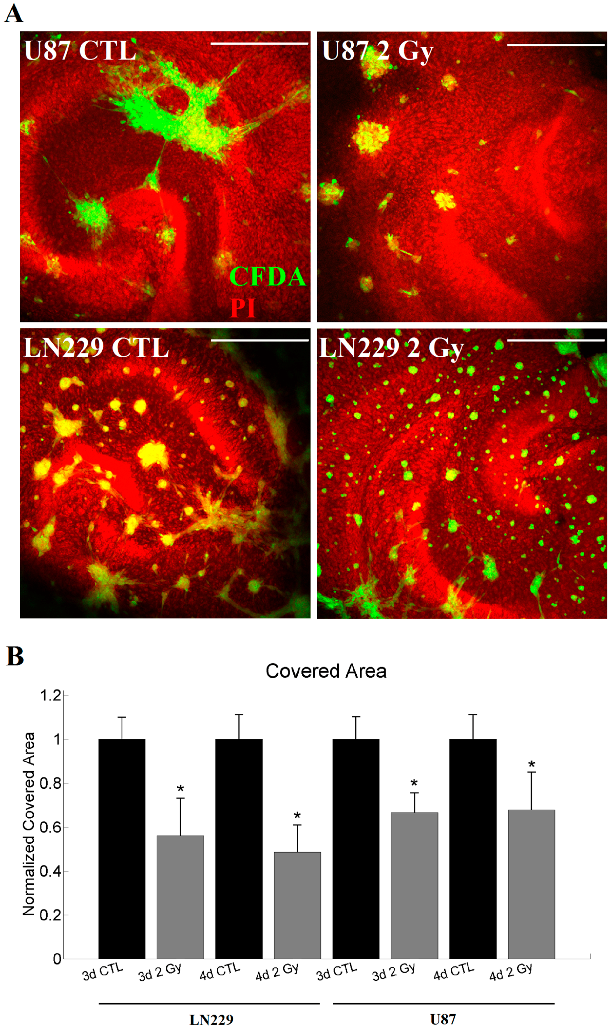 Ijms 18 02001 g003 550