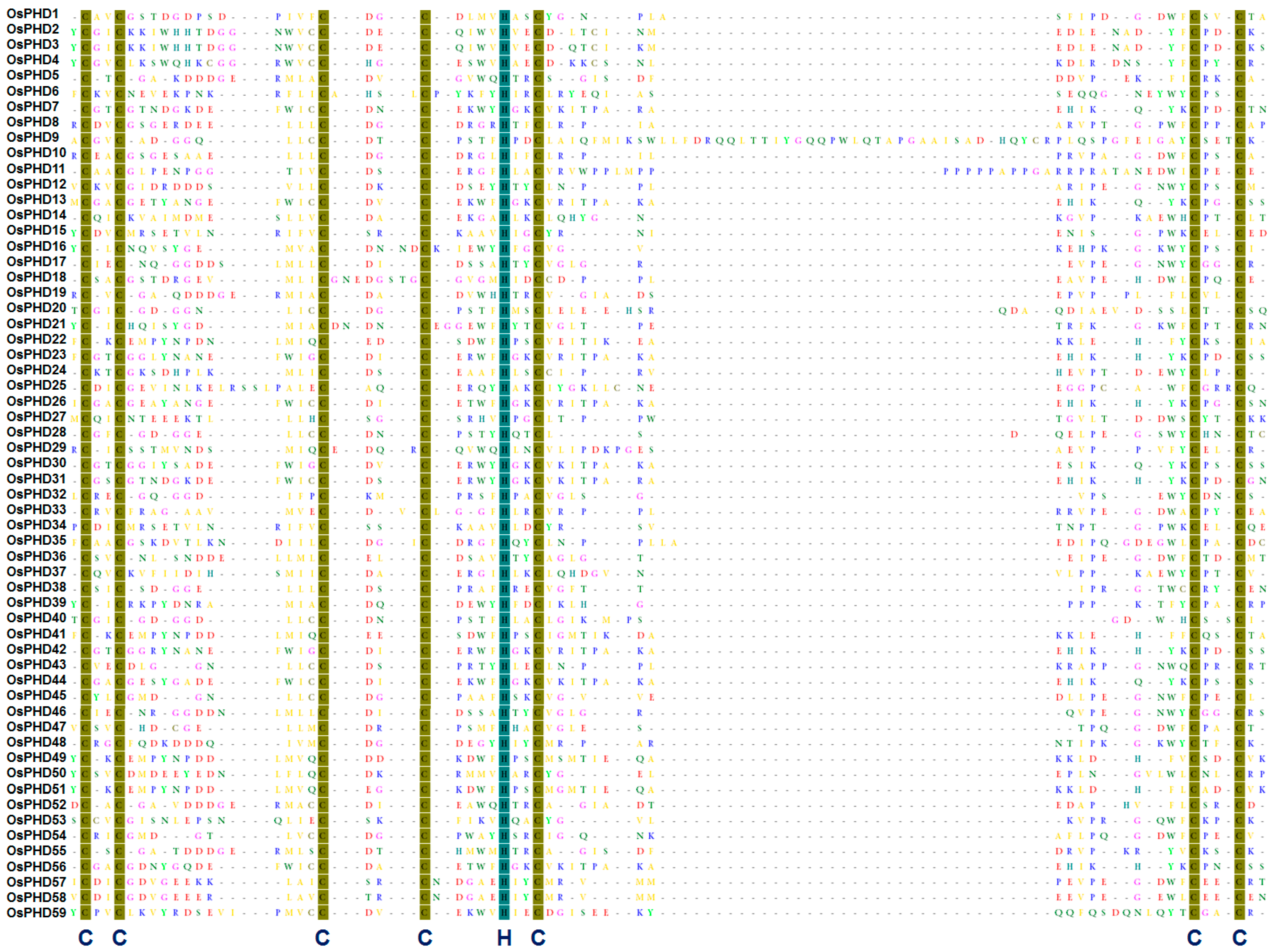 Ijms 18 02005 g001 550
