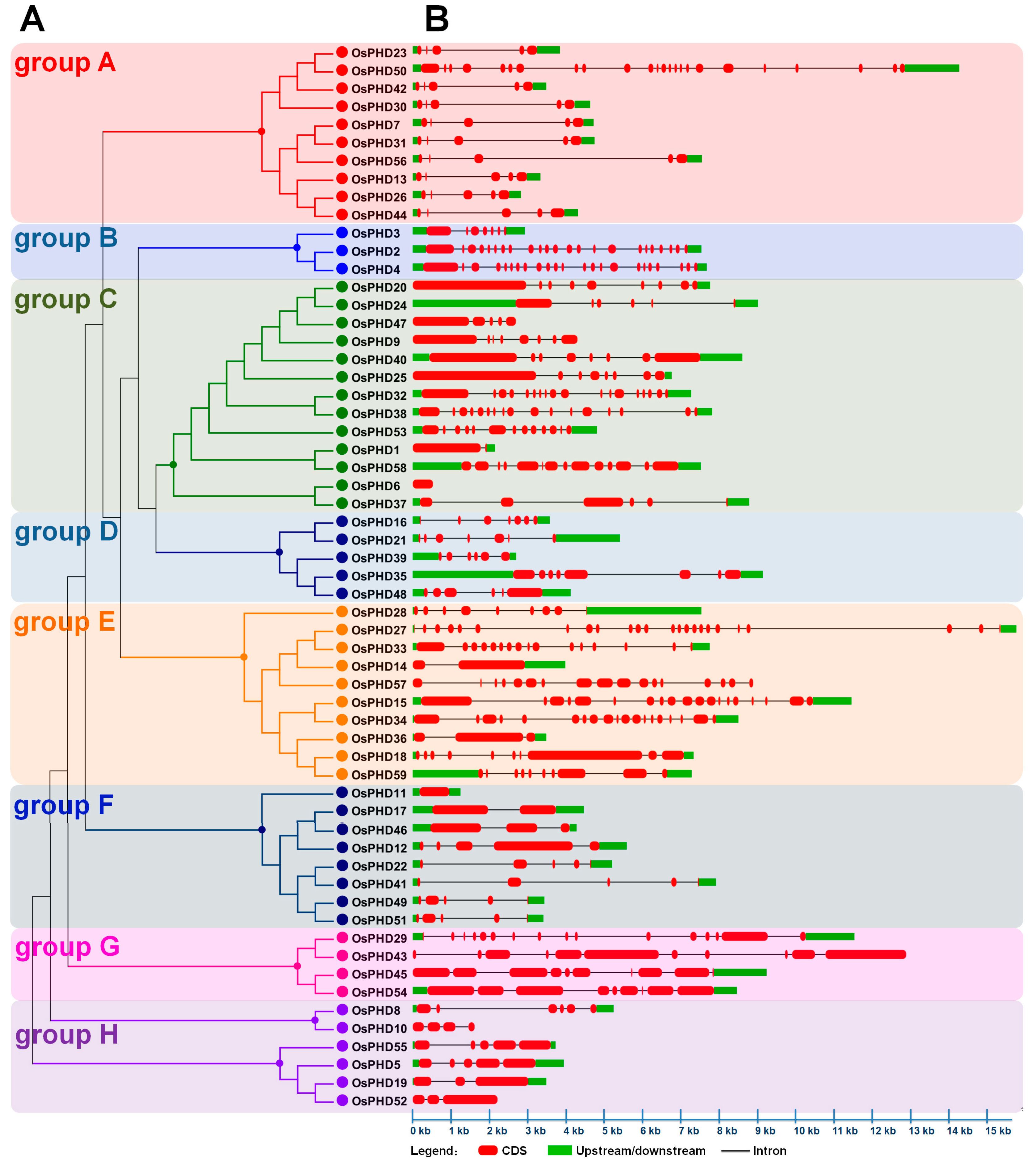 Ijms 18 02005 g004 550