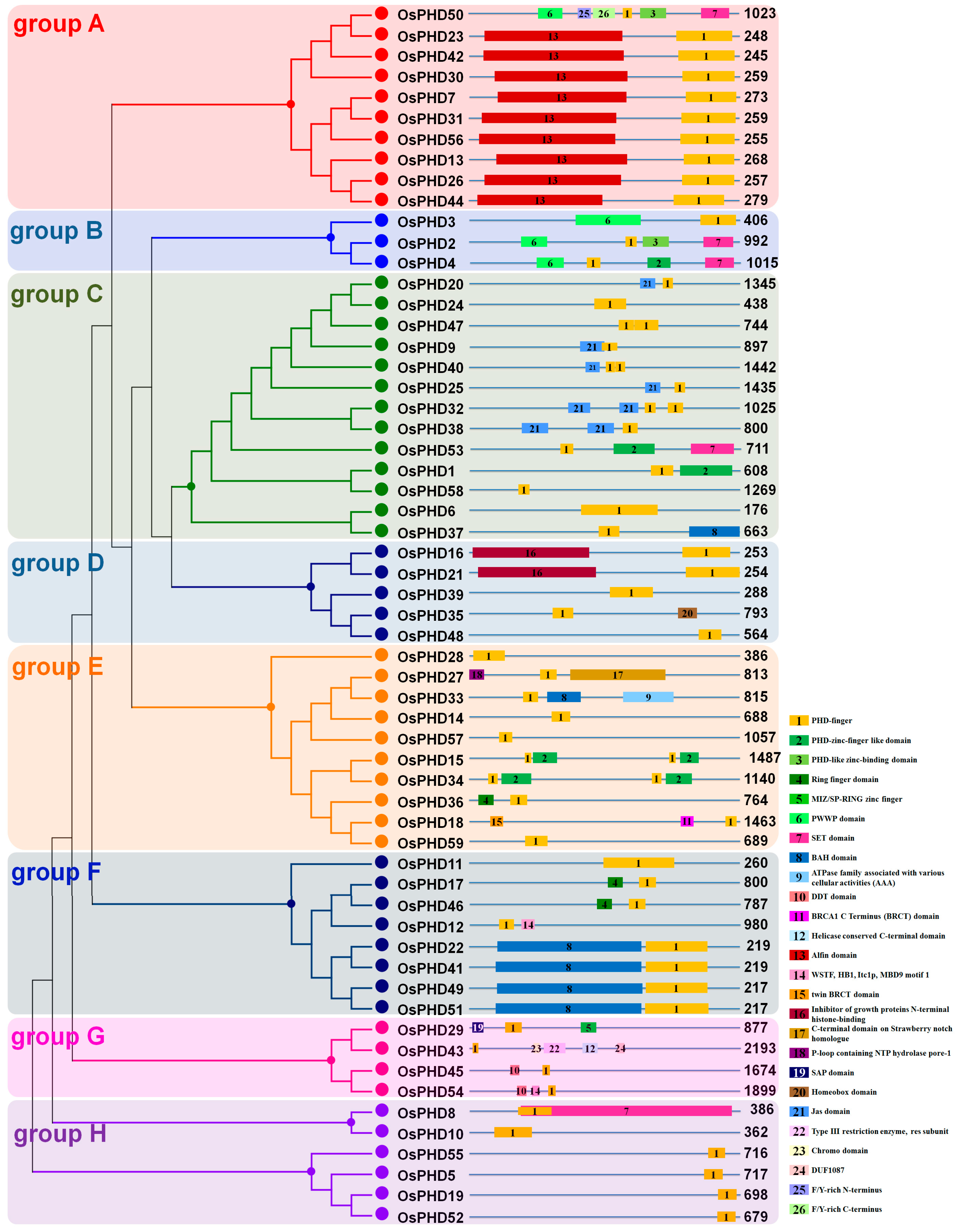 Ijms 18 02005 g005 550